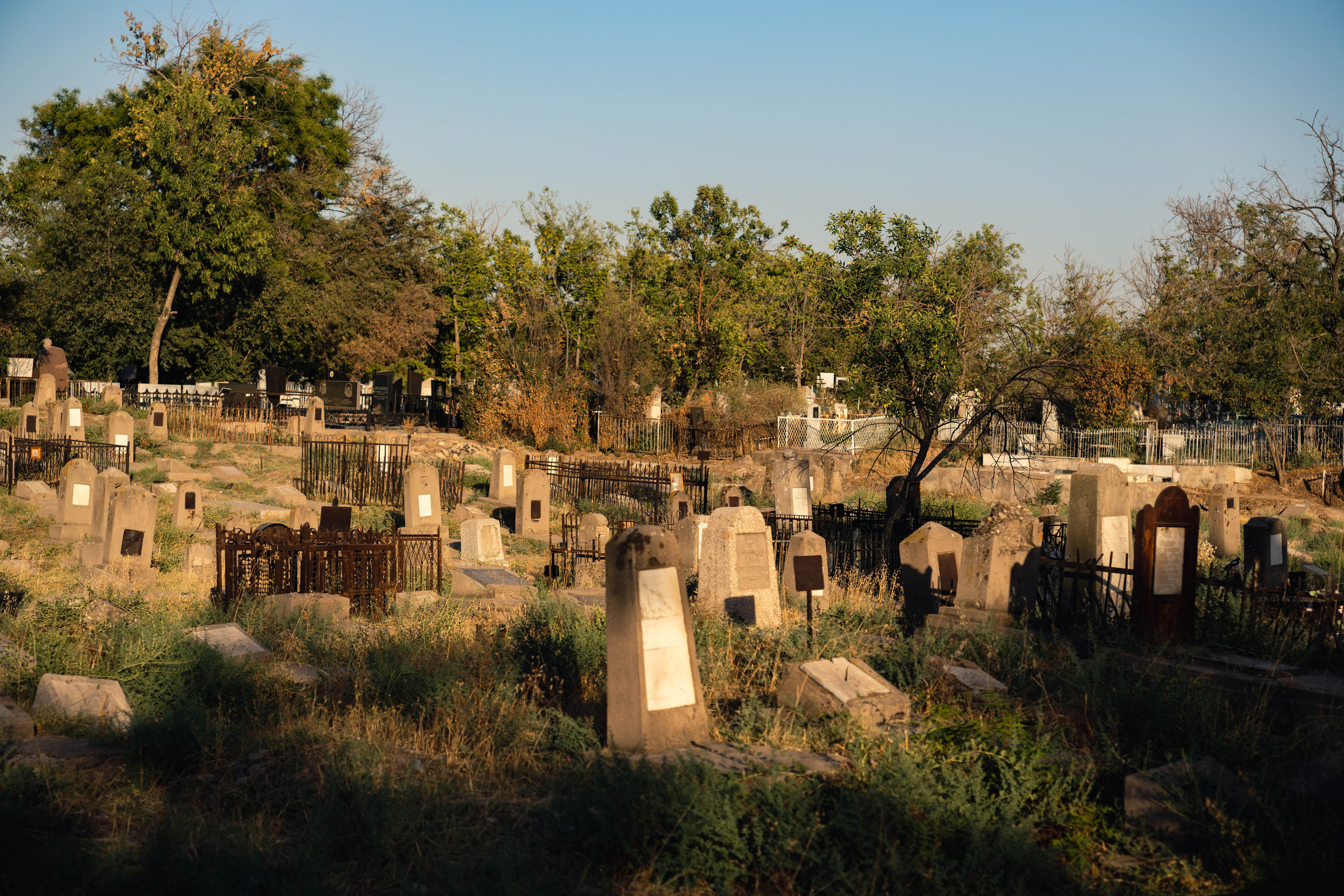 Клиент всегда мёртв: профессия — могильщик. Георгий Намазов | Фотограф в Ташкенте