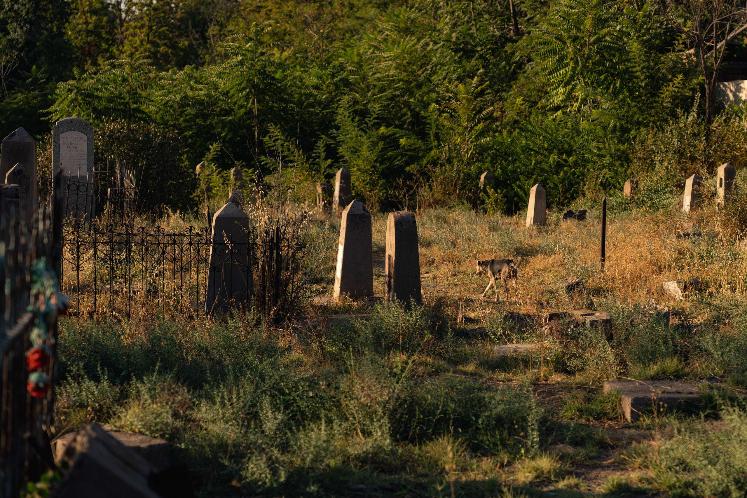 Клиент всегда мёртв: профессия — могильщик. Георгий Намазов | Фотограф в Ташкенте