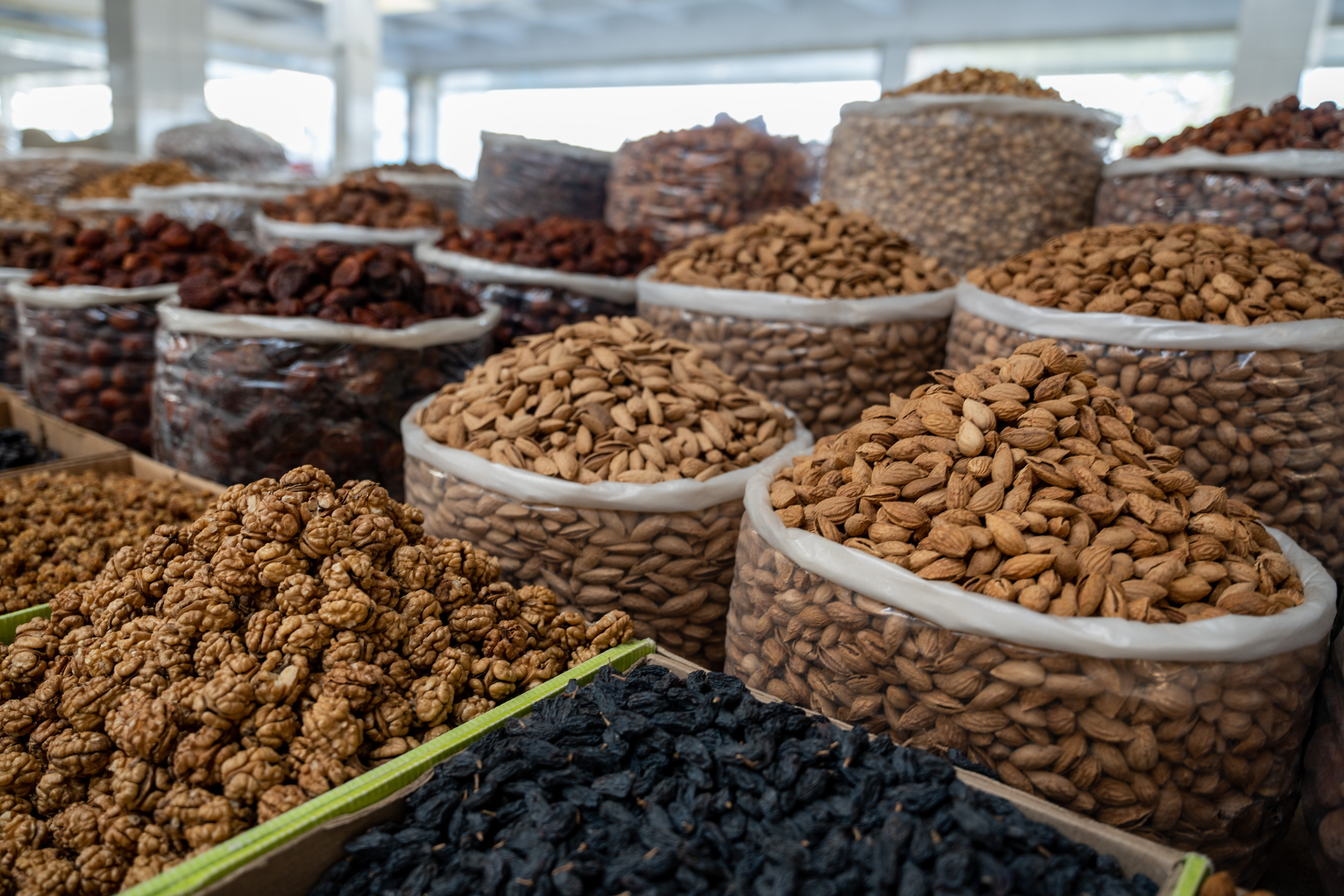 Самарканд в преддверии саммита ШОС-2022. Георгий Намазов | Фотограф в Ташкенте