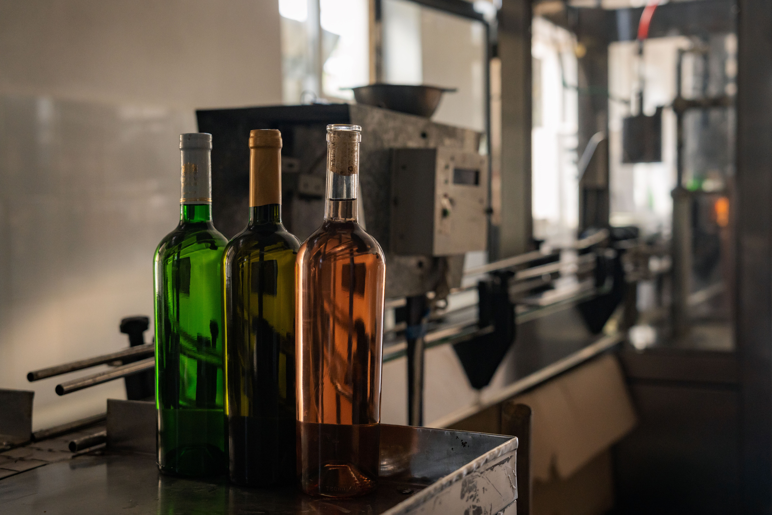 «Мне платят за то, что я выпиваю на работе» — история одной винодельни. Георгий Намазов | Фотограф в Ташкенте