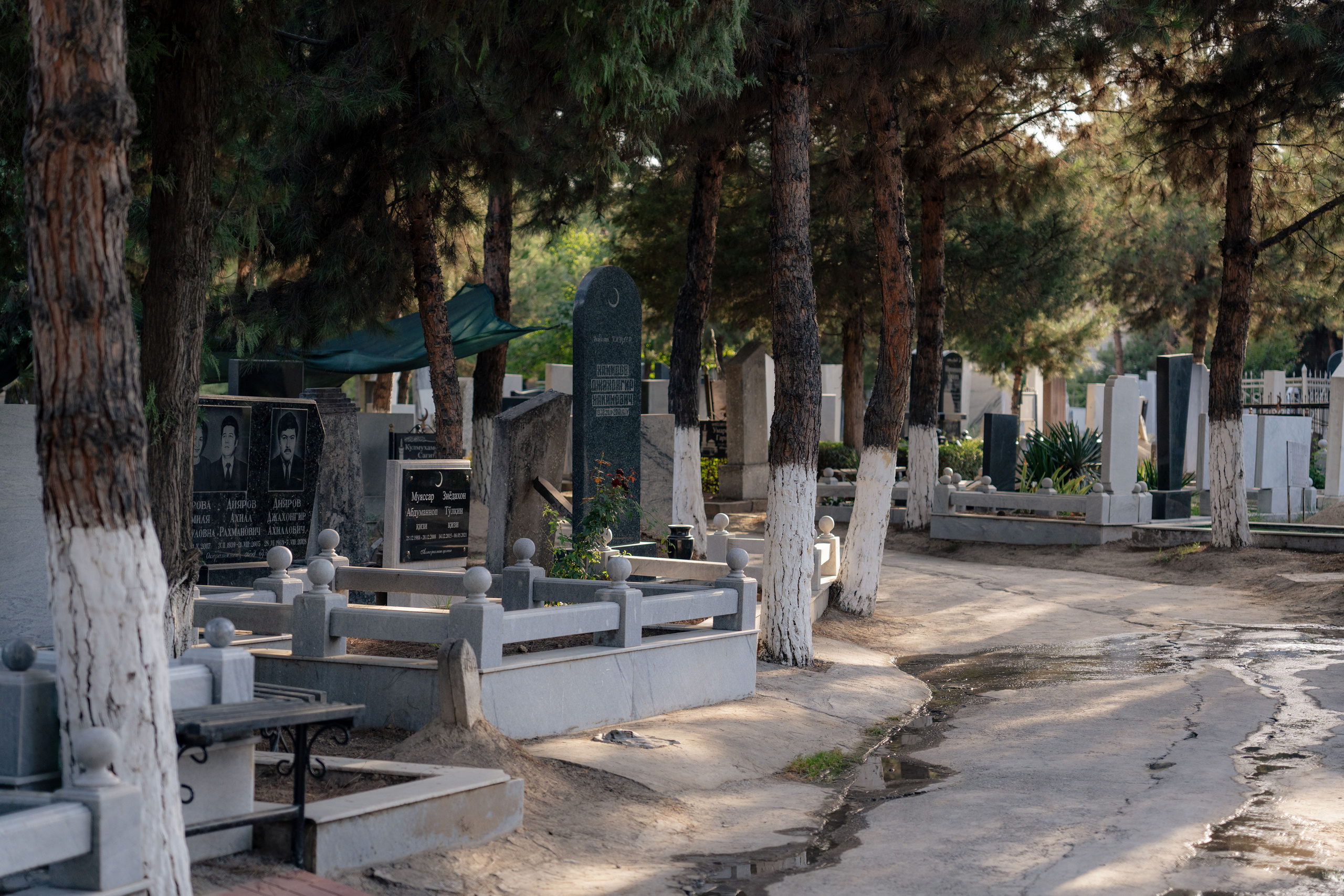 Клиент всегда мёртв: профессия — могильщик. Георгий Намазов | Фотограф в Ташкенте