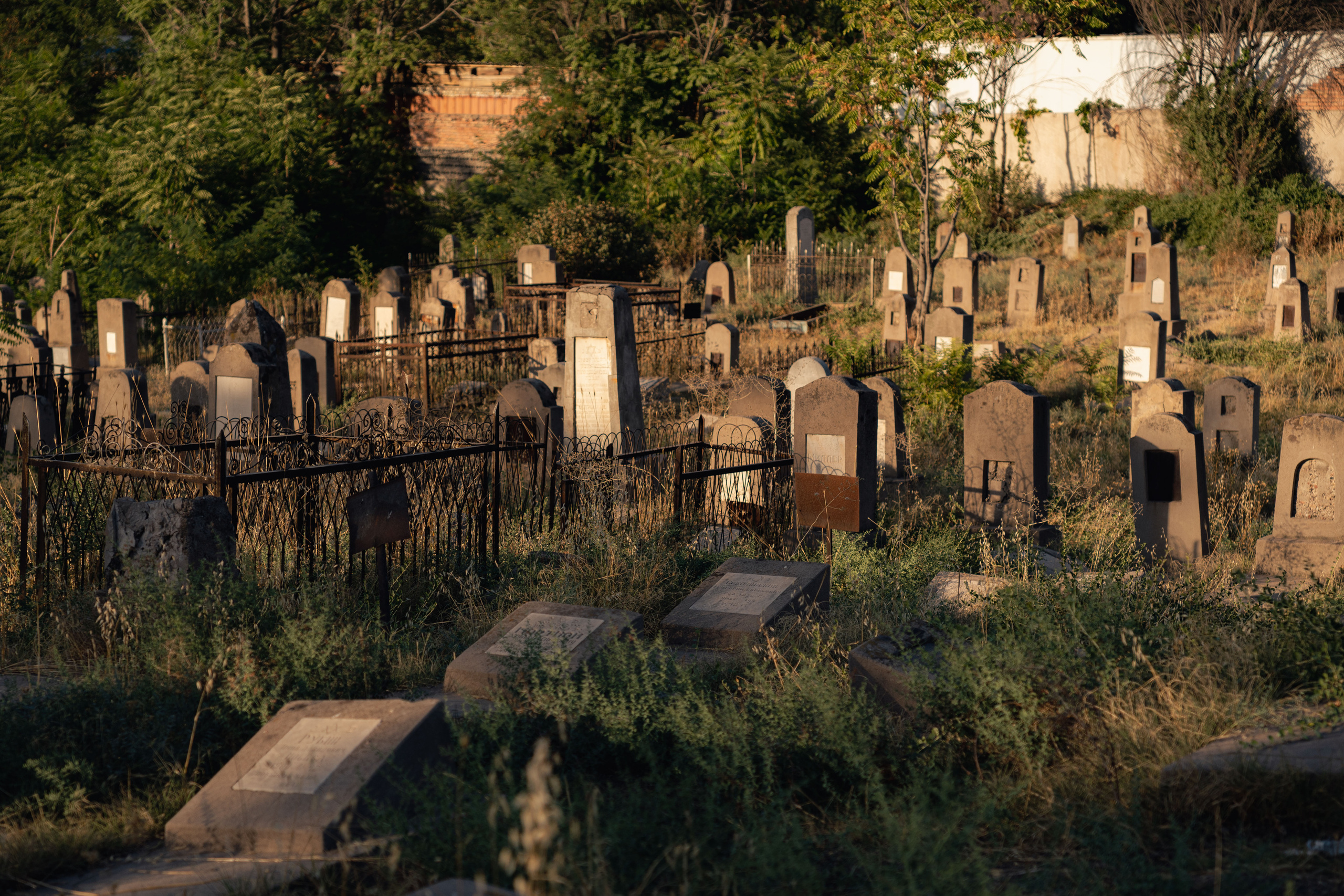 Клиент всегда мёртв: профессия — могильщик. Георгий Намазов | Фотограф в Ташкенте