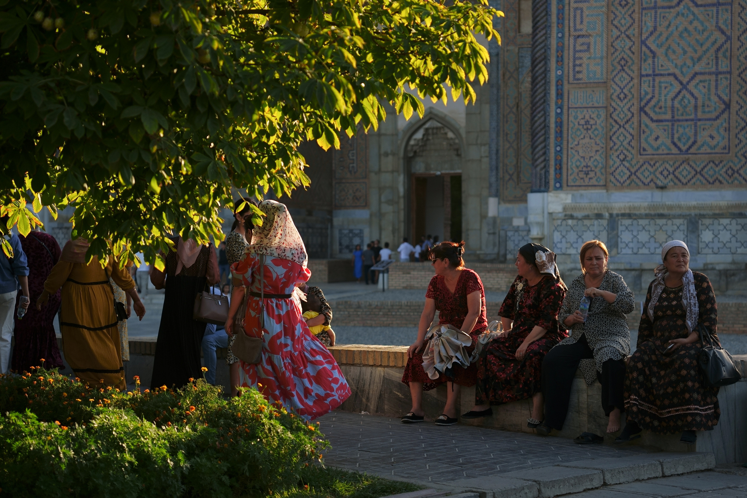 Самарканд в преддверии саммита ШОС-2022. Георгий Намазов | Фотограф в Ташкенте
