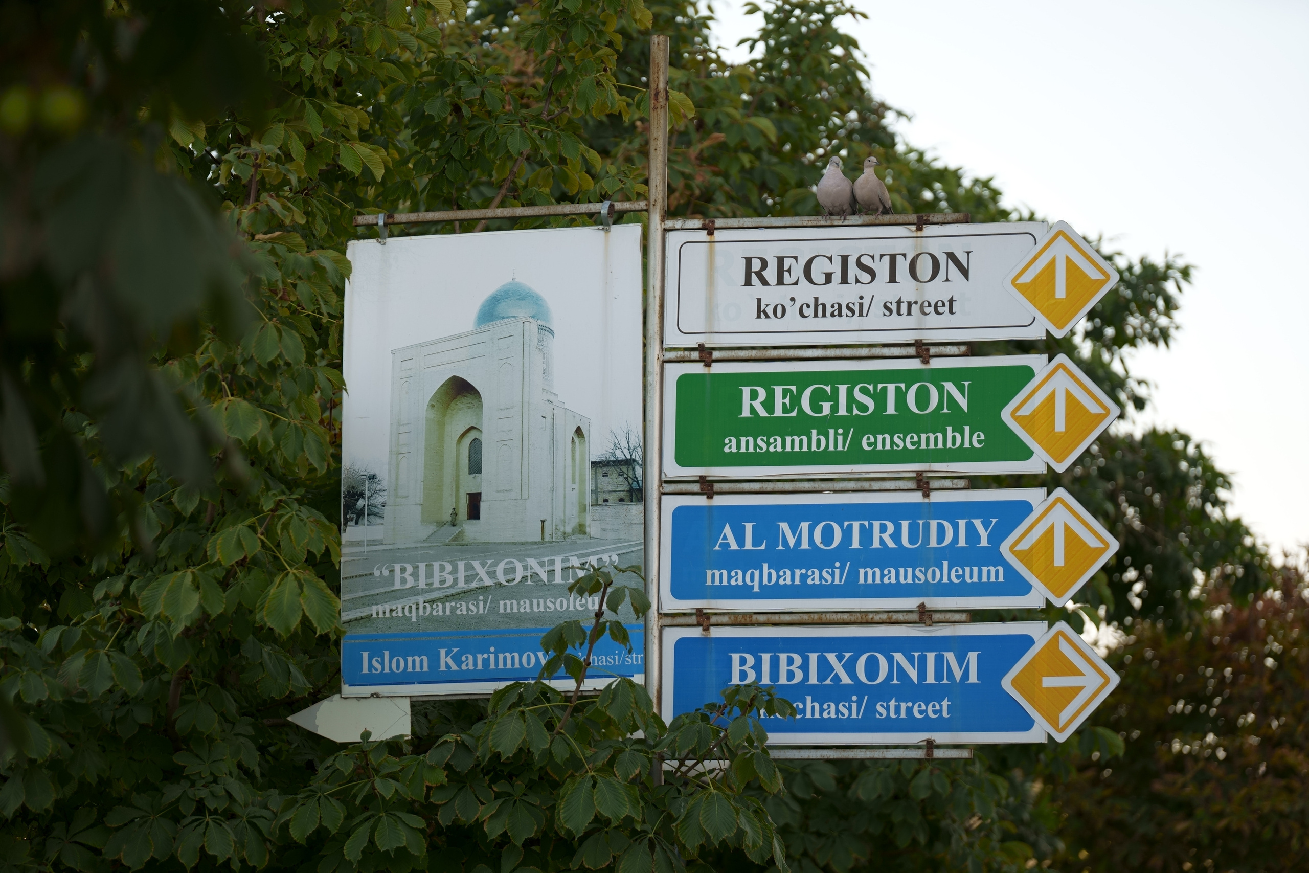 Самарканд в преддверии саммита ШОС-2022. Георгий Намазов | Фотограф в Ташкенте