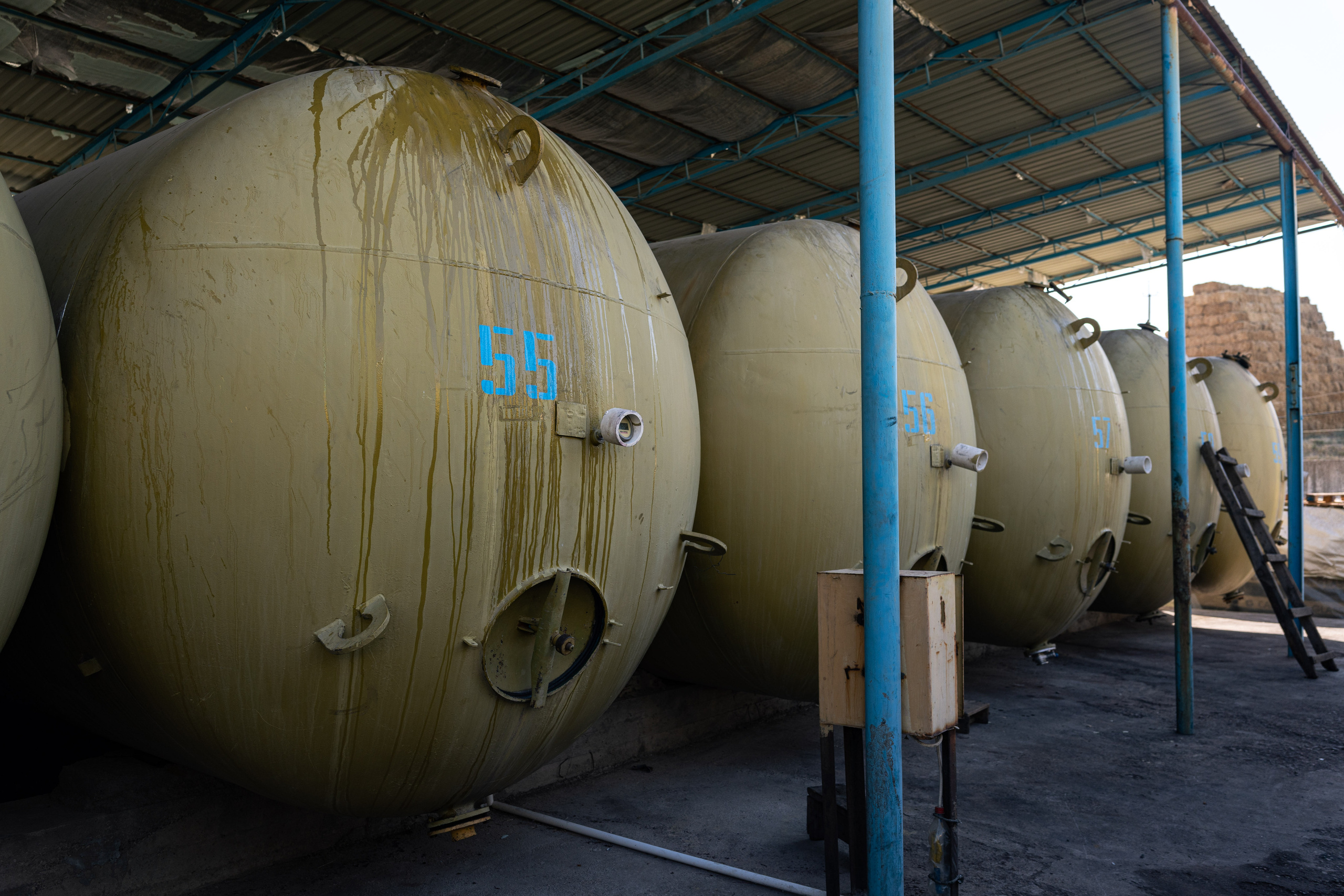 «Мне платят за то, что я выпиваю на работе» — история одной винодельни. Георгий Намазов | Фотограф в Ташкенте