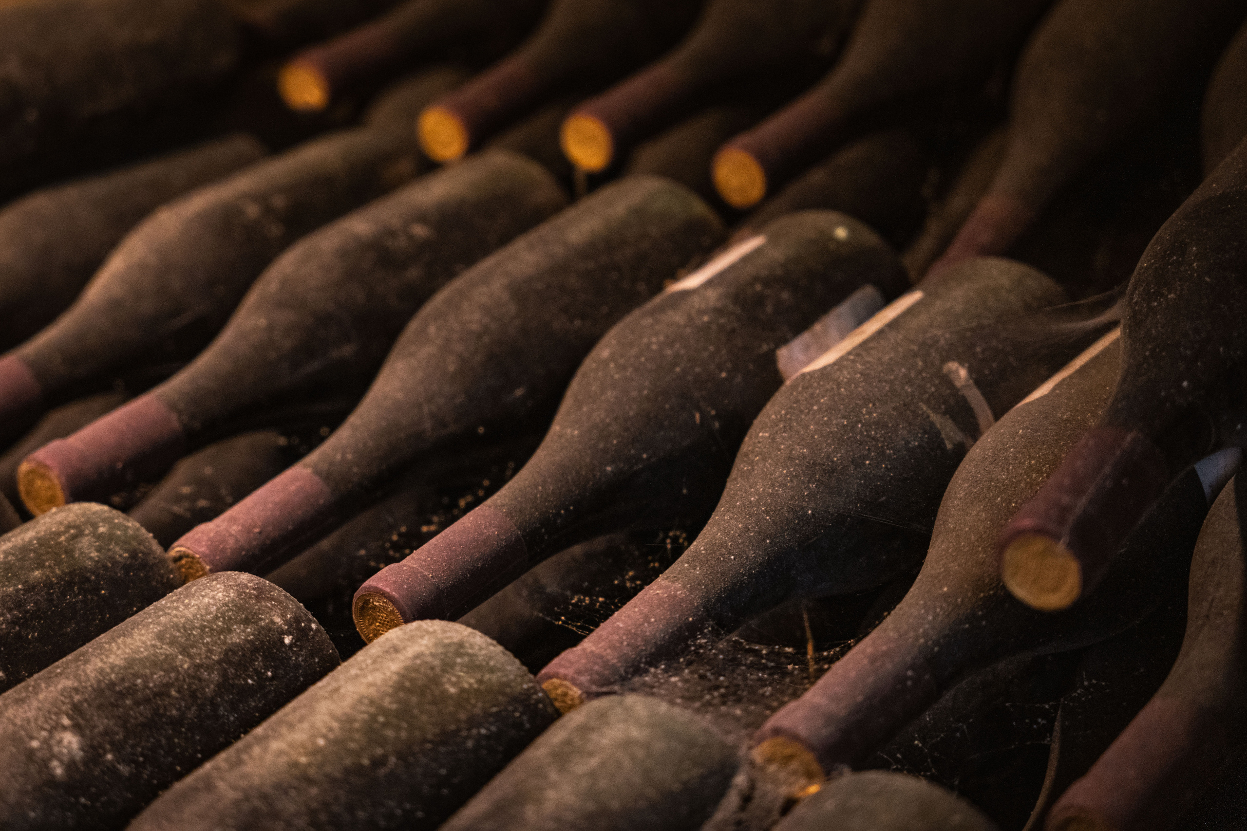 «Мне платят за то, что я выпиваю на работе» — история одной винодельни. Георгий Намазов | Фотограф в Ташкенте