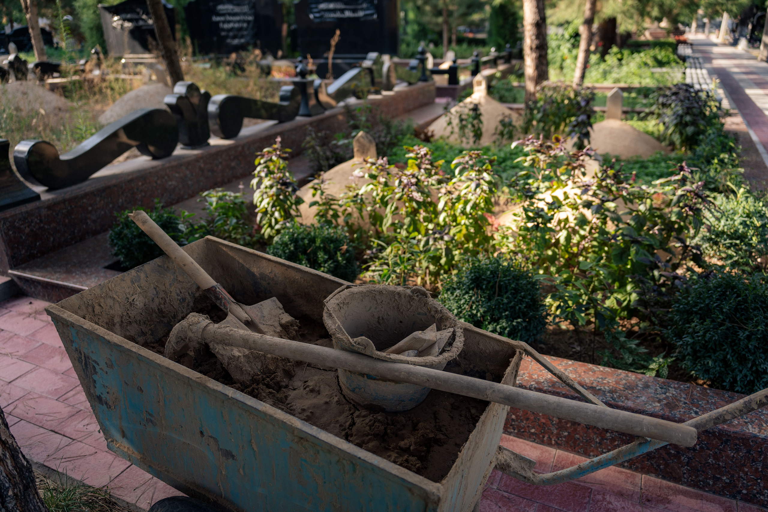 Клиент всегда мёртв: профессия — могильщик. Георгий Намазов | Фотограф в Ташкенте