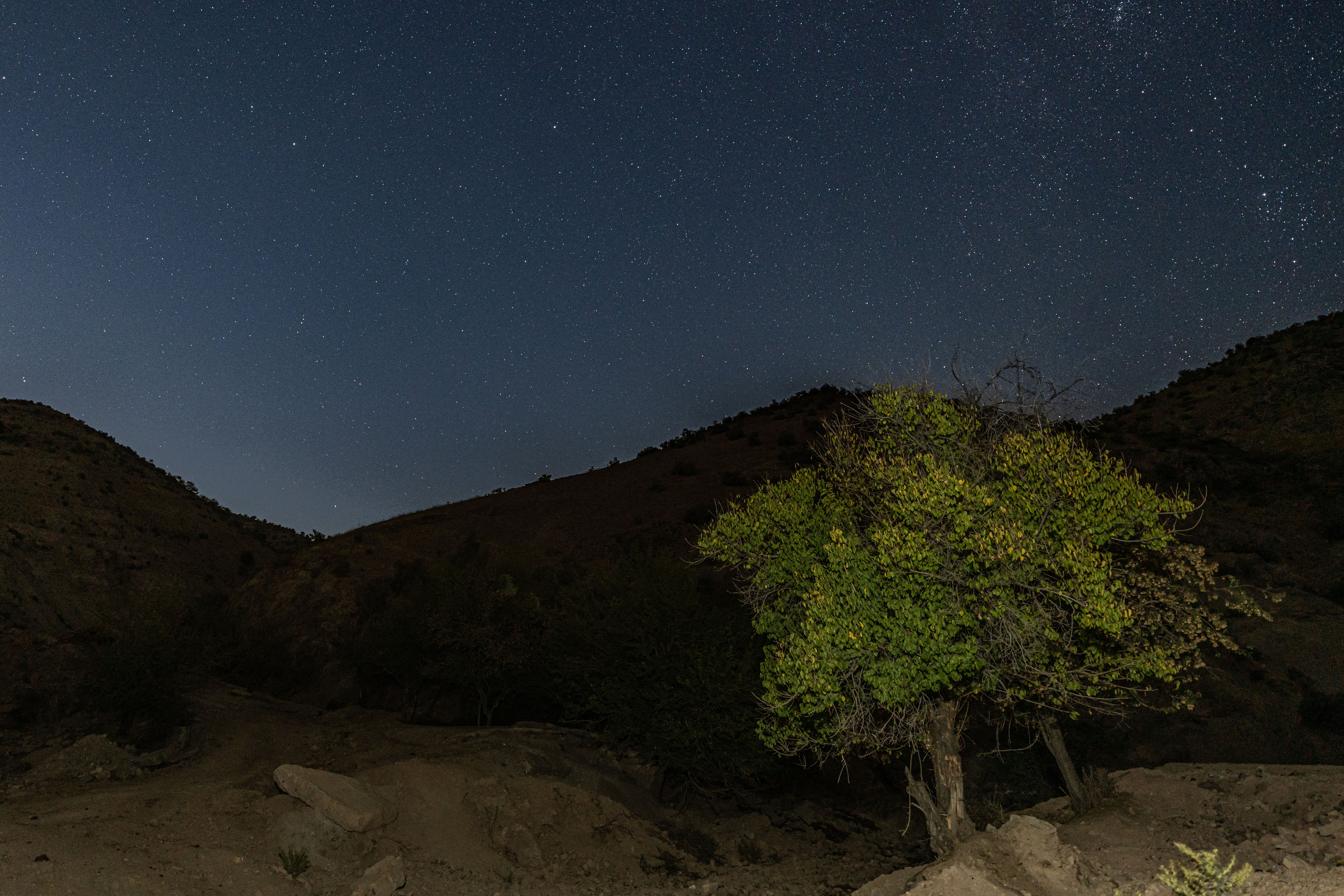 Поездка в Красногорск. Георгий Намазов | Фотограф в Ташкенте