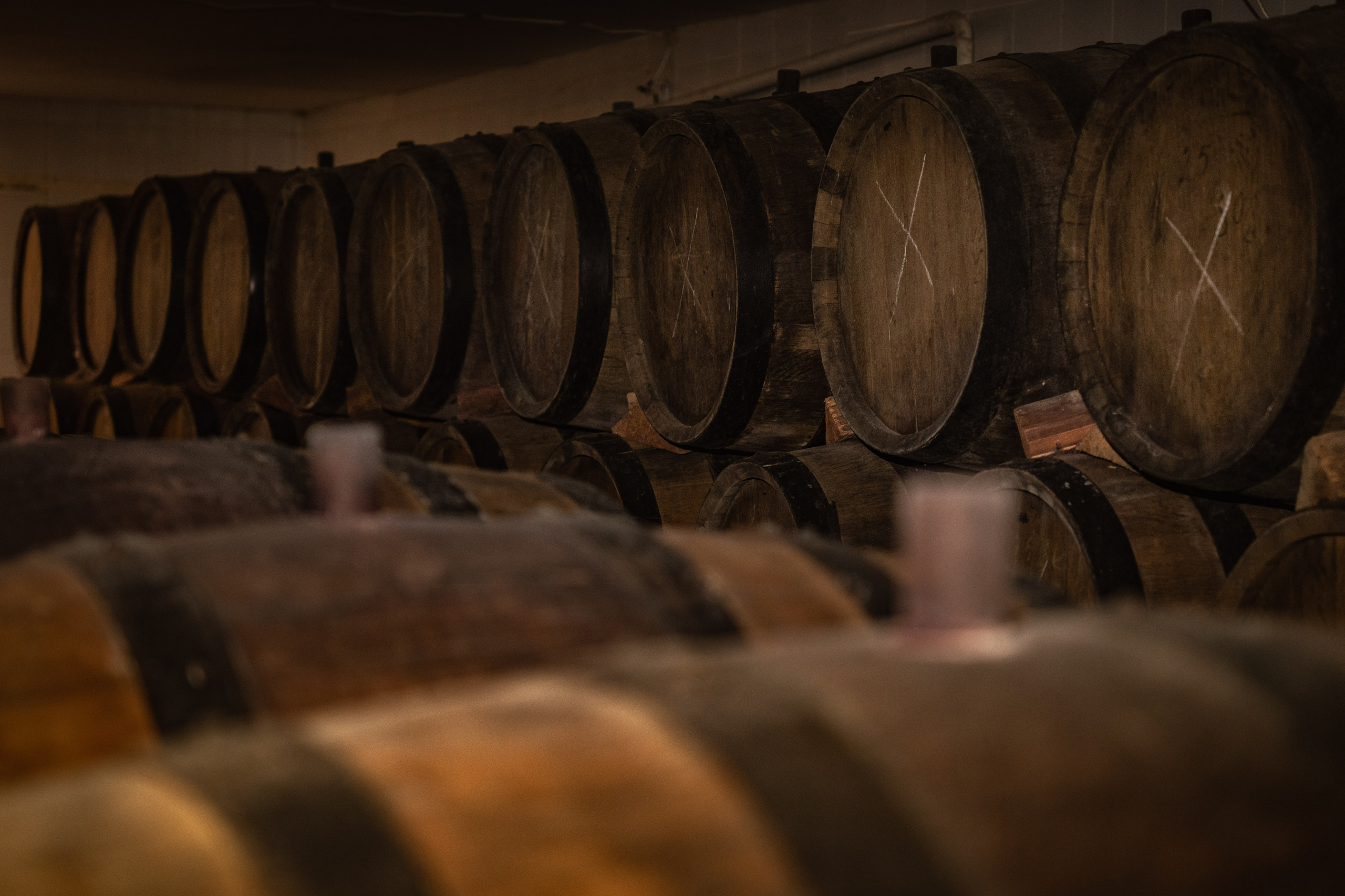 «Мне платят за то, что я выпиваю на работе» — история одной винодельни. Георгий Намазов | Фотограф в Ташкенте