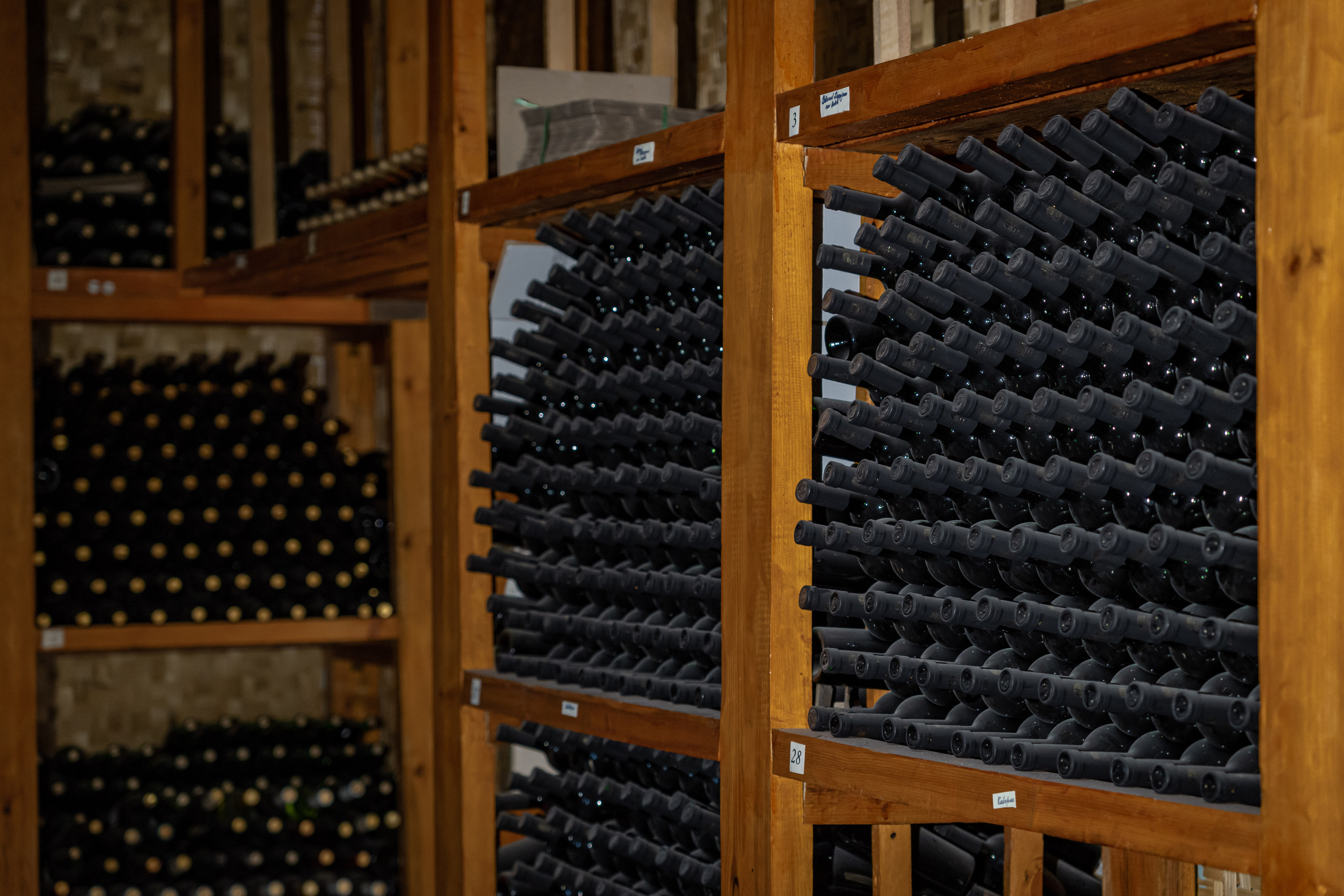 «Мне платят за то, что я выпиваю на работе» — история одной винодельни. Георгий Намазов | Фотограф в Ташкенте