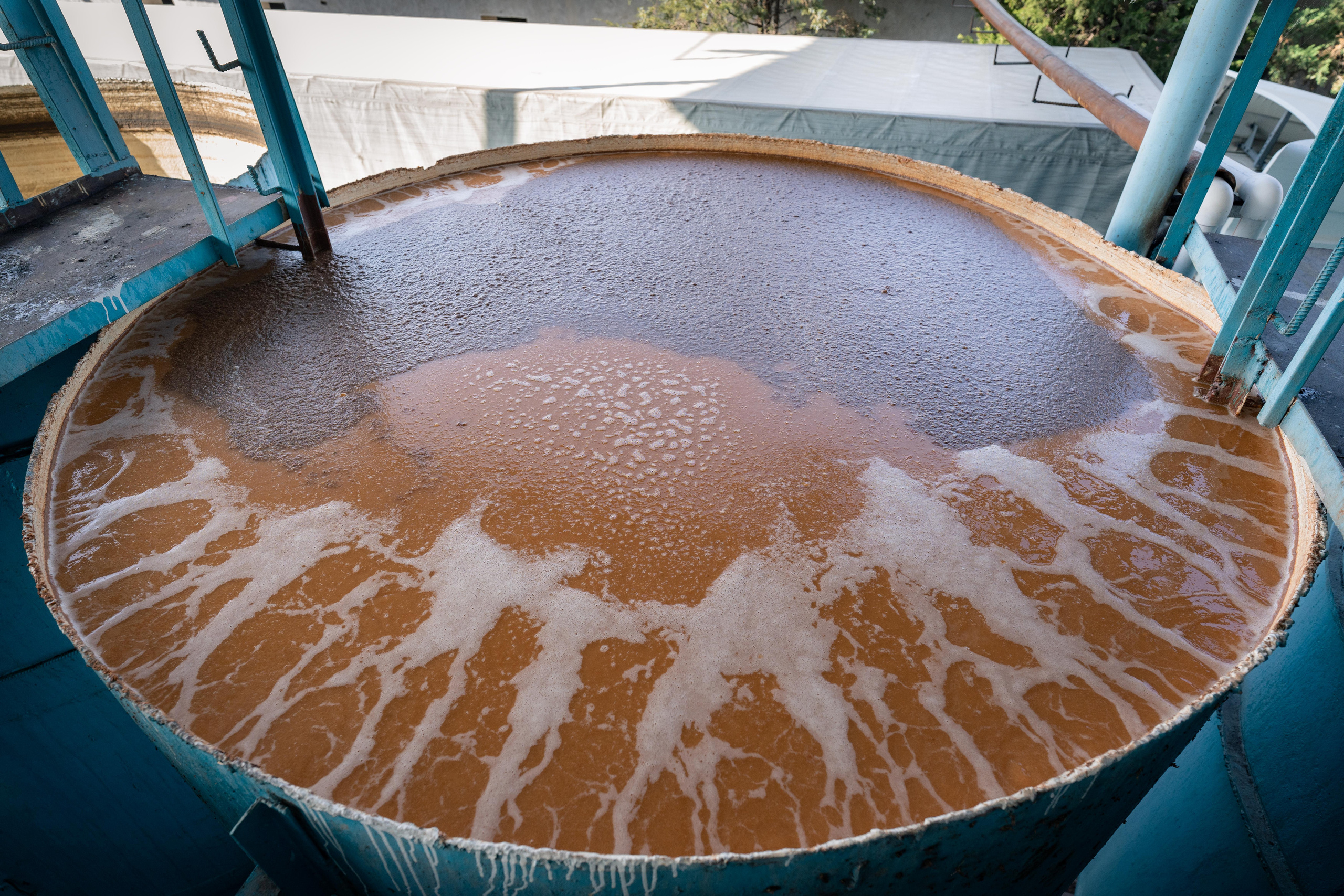 «Мне платят за то, что я выпиваю на работе» — история одной винодельни. Георгий Намазов | Фотограф в Ташкенте