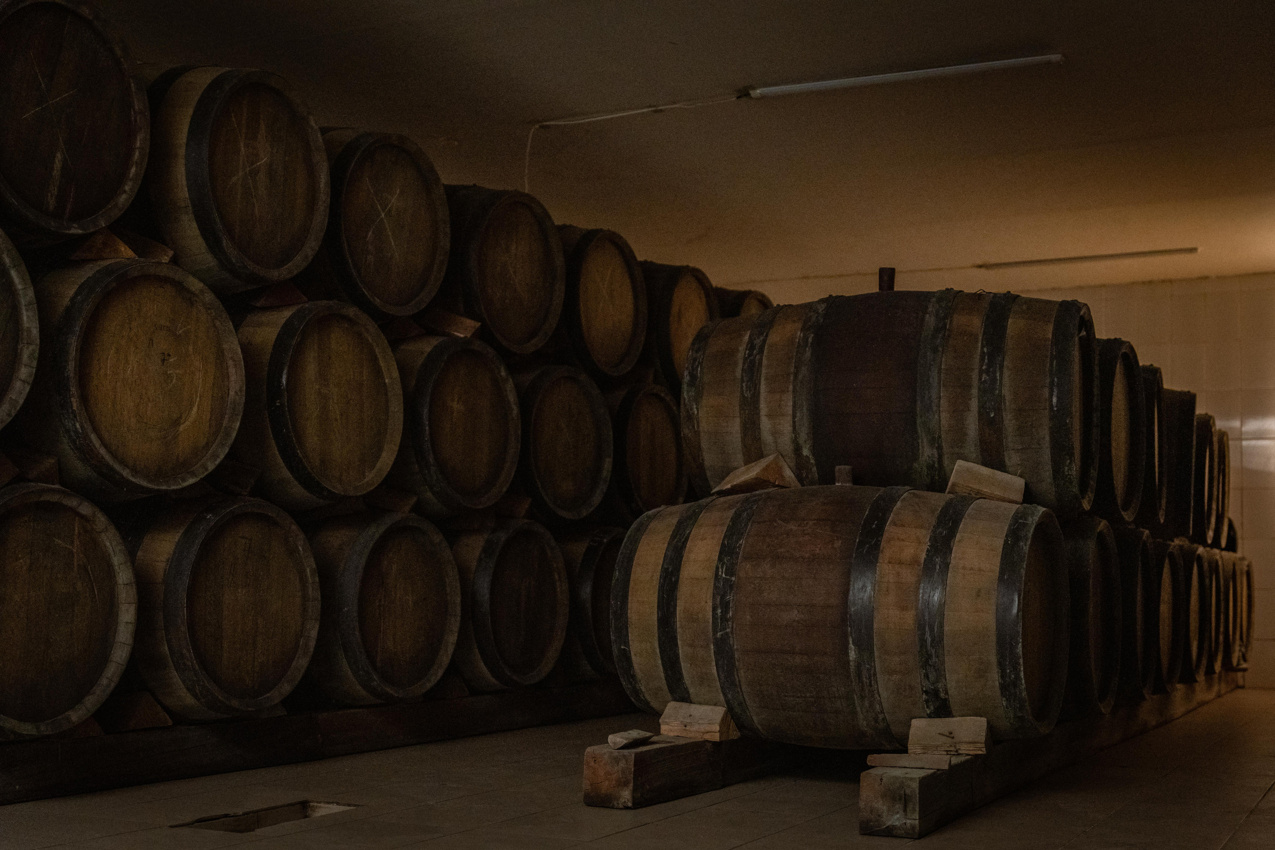 «Мне платят за то, что я выпиваю на работе» — история одной винодельни. Георгий Намазов | Фотограф в Ташкенте