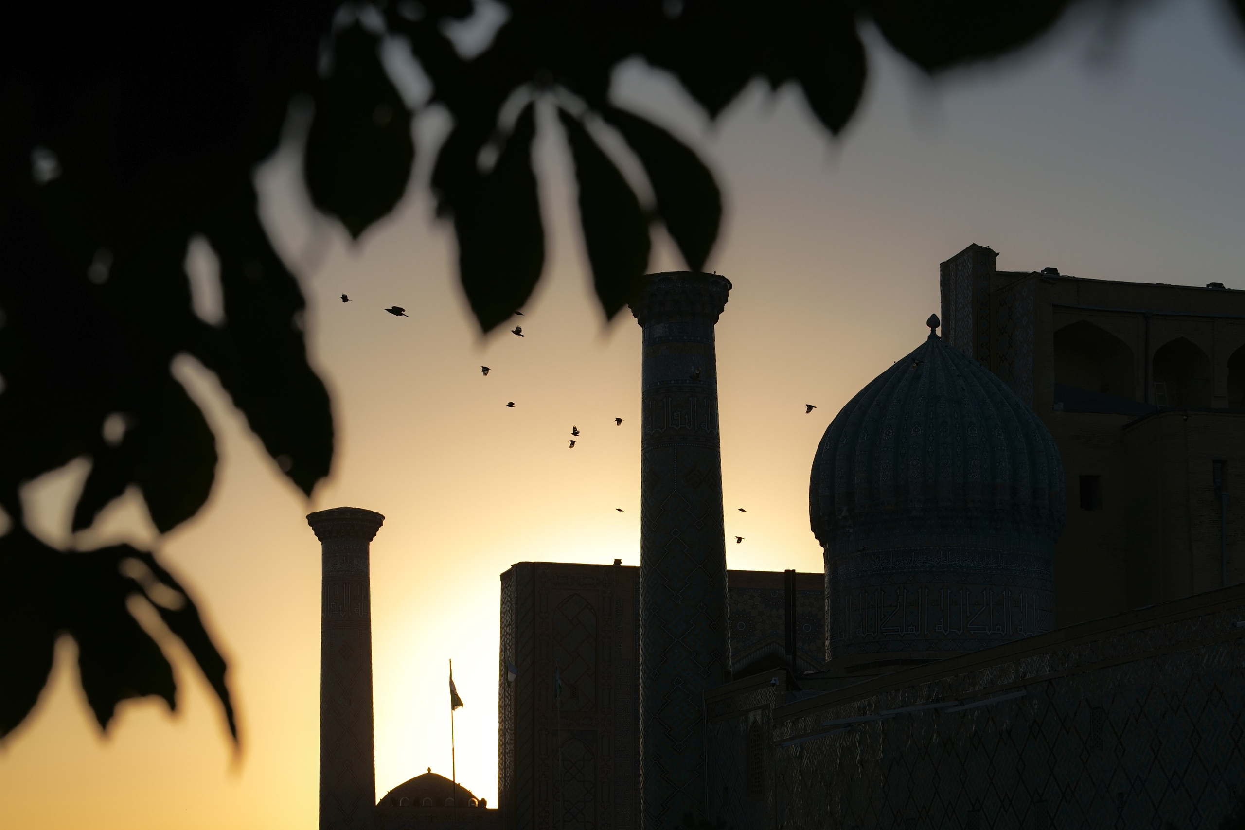 Самарканд в преддверии саммита ШОС-2022. Георгий Намазов | Фотограф в Ташкенте