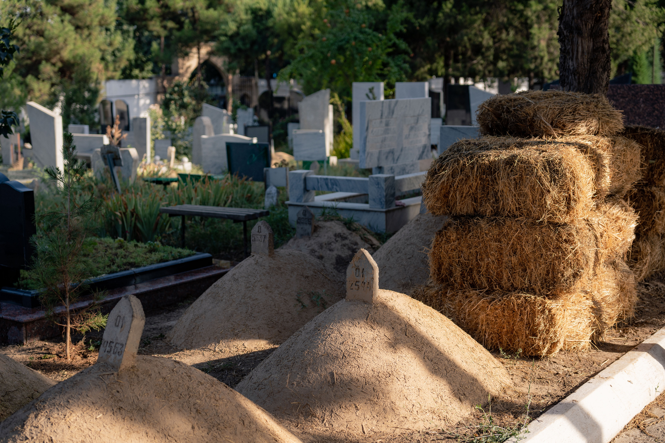 Клиент всегда мёртв: профессия — могильщик. Георгий Намазов | Фотограф в Ташкенте