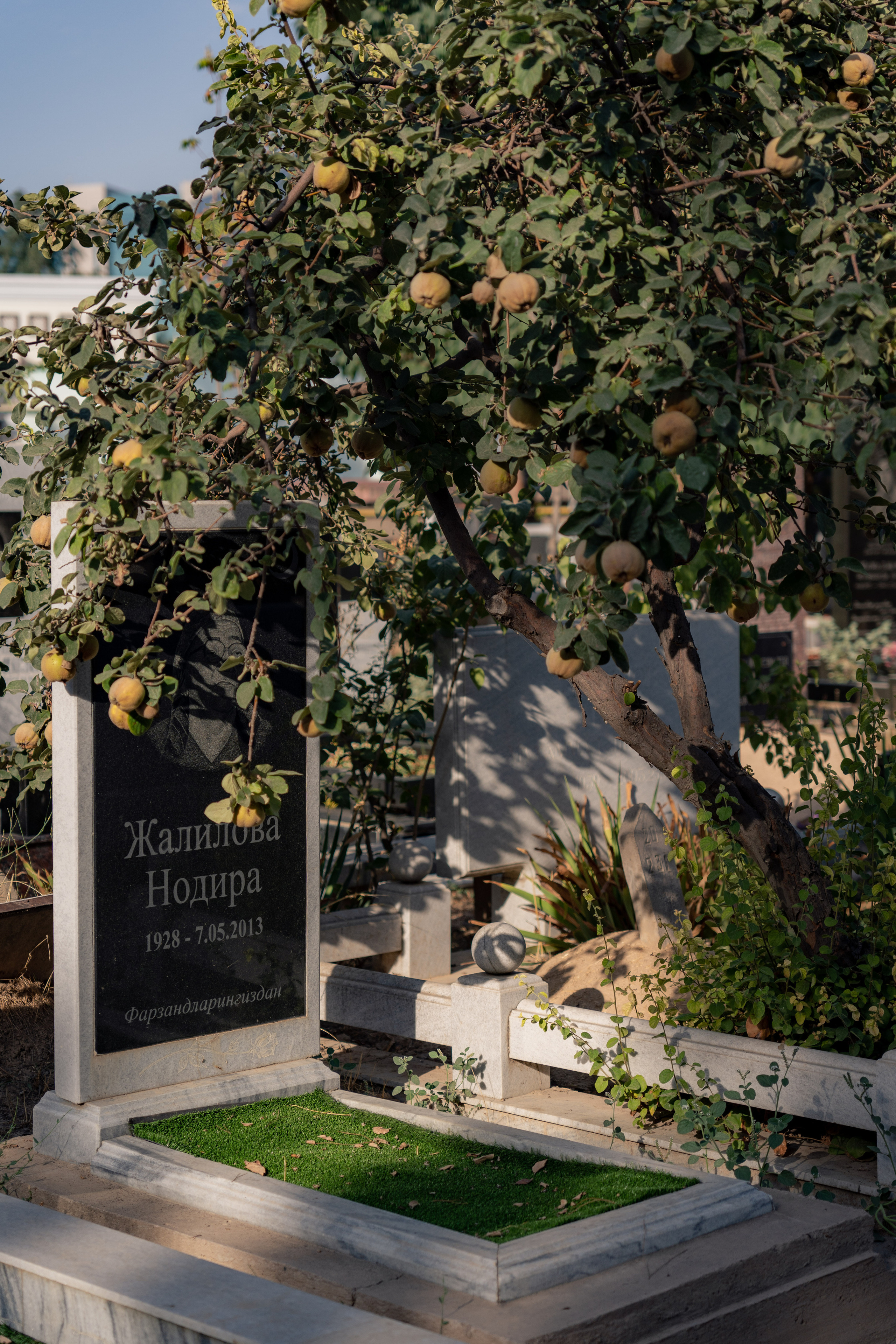 Клиент всегда мёртв: профессия — могильщик. Георгий Намазов | Фотограф в Ташкенте