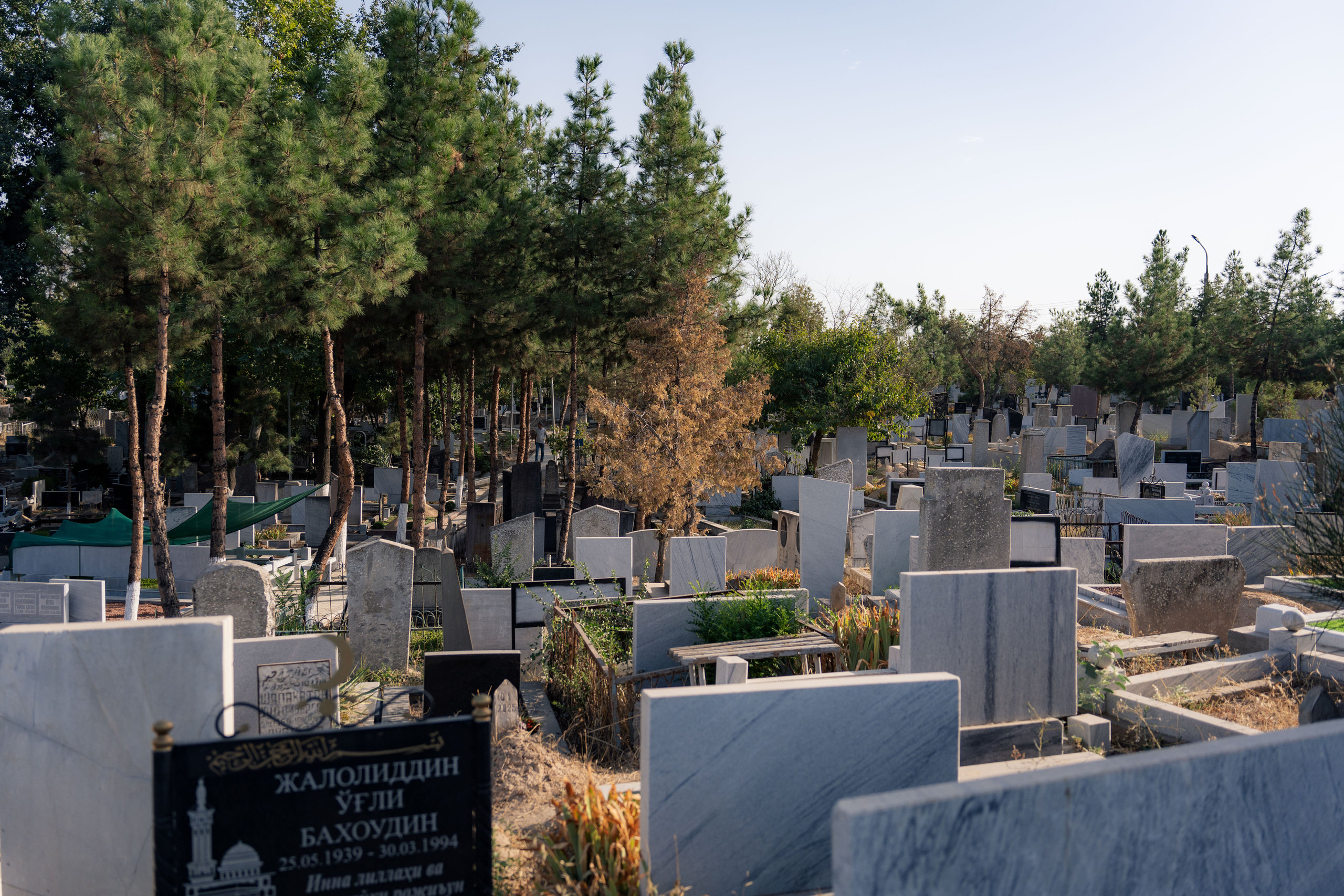 Клиент всегда мёртв: профессия — могильщик. Георгий Намазов | Фотограф в Ташкенте