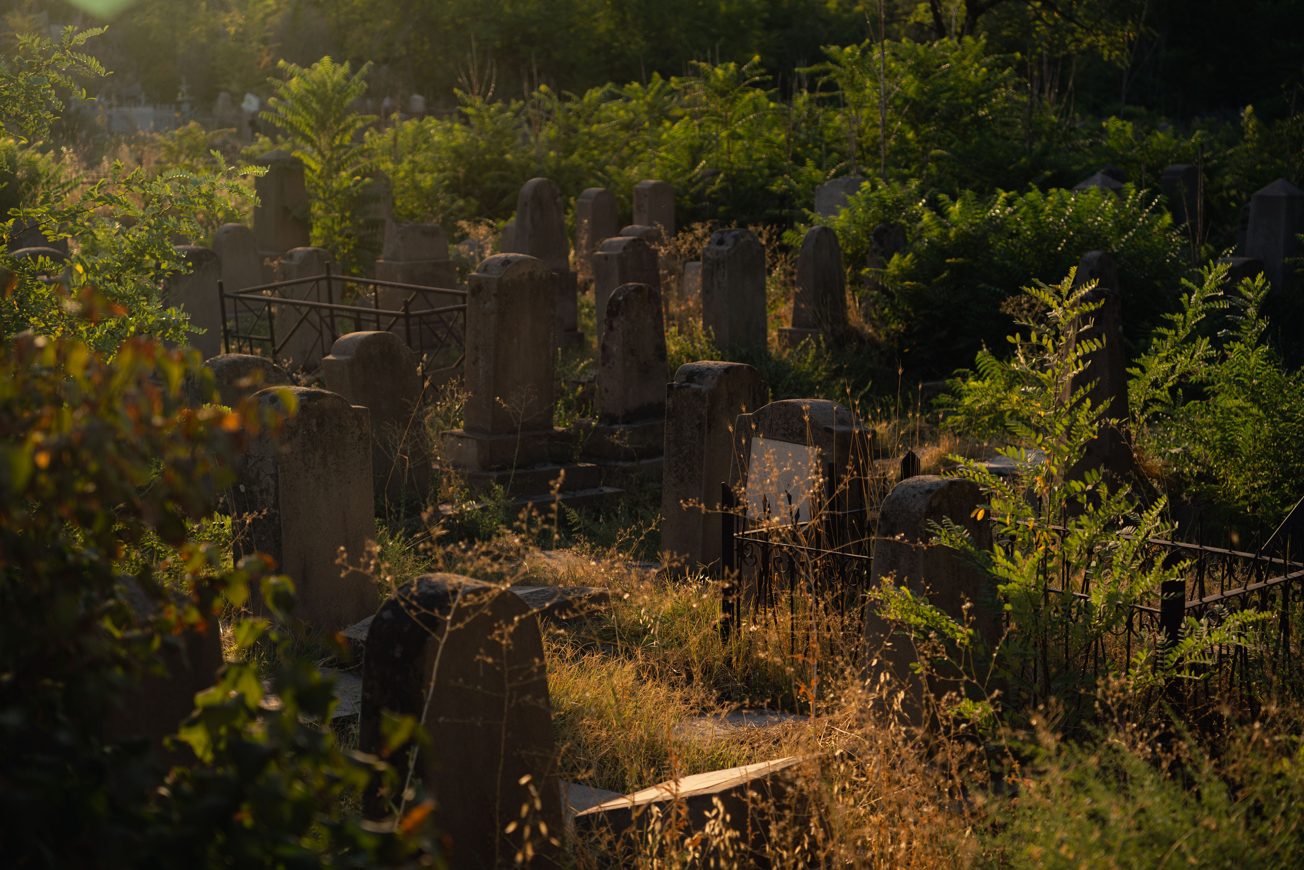 Клиент всегда мёртв: профессия — могильщик. Георгий Намазов | Фотограф в Ташкенте