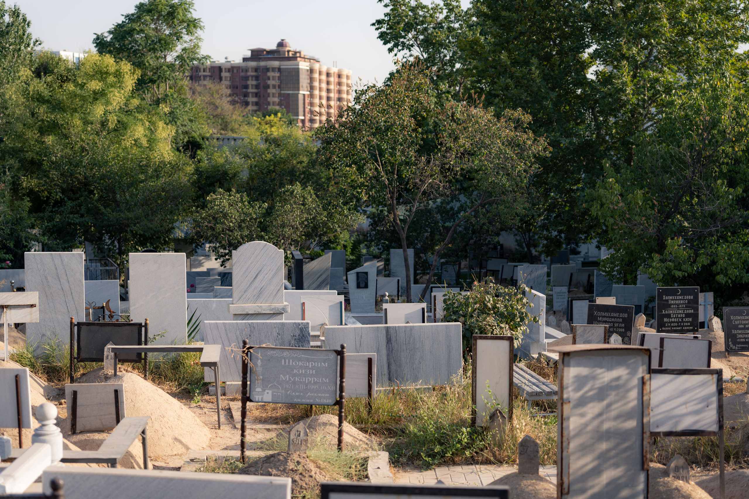 Клиент всегда мёртв: профессия — могильщик. Георгий Намазов | Фотограф в Ташкенте