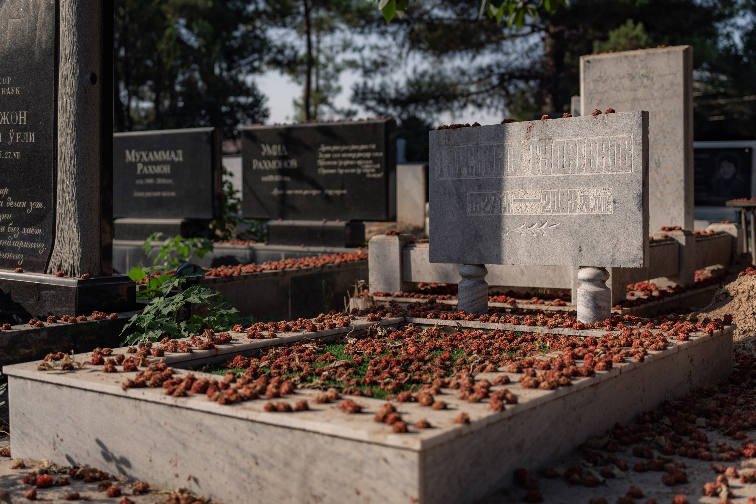 Клиент всегда мёртв: профессия — могильщик. Георгий Намазов | Фотограф в Ташкенте