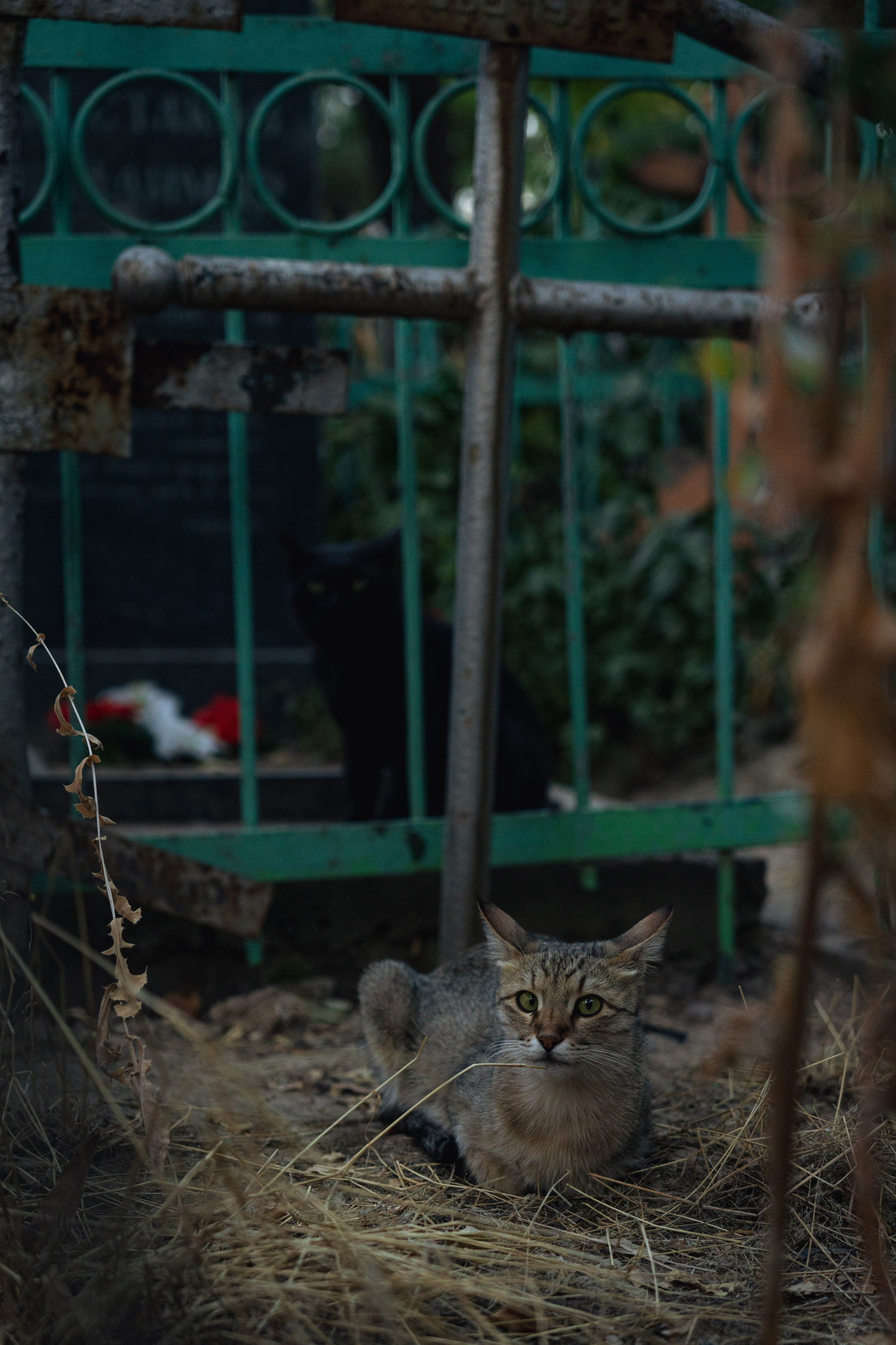 Клиент всегда мёртв: профессия — могильщик. Георгий Намазов | Фотограф в Ташкенте