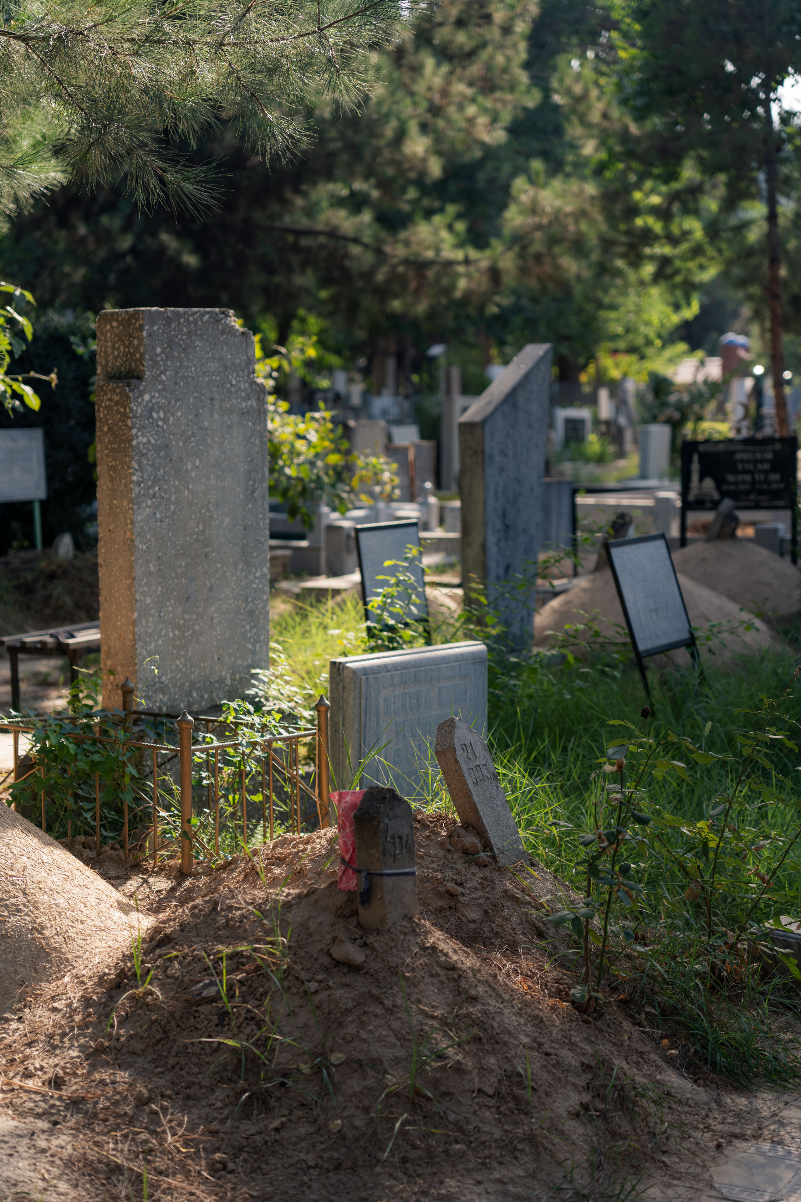 Клиент всегда мёртв: профессия — могильщик. Георгий Намазов | Фотограф в Ташкенте