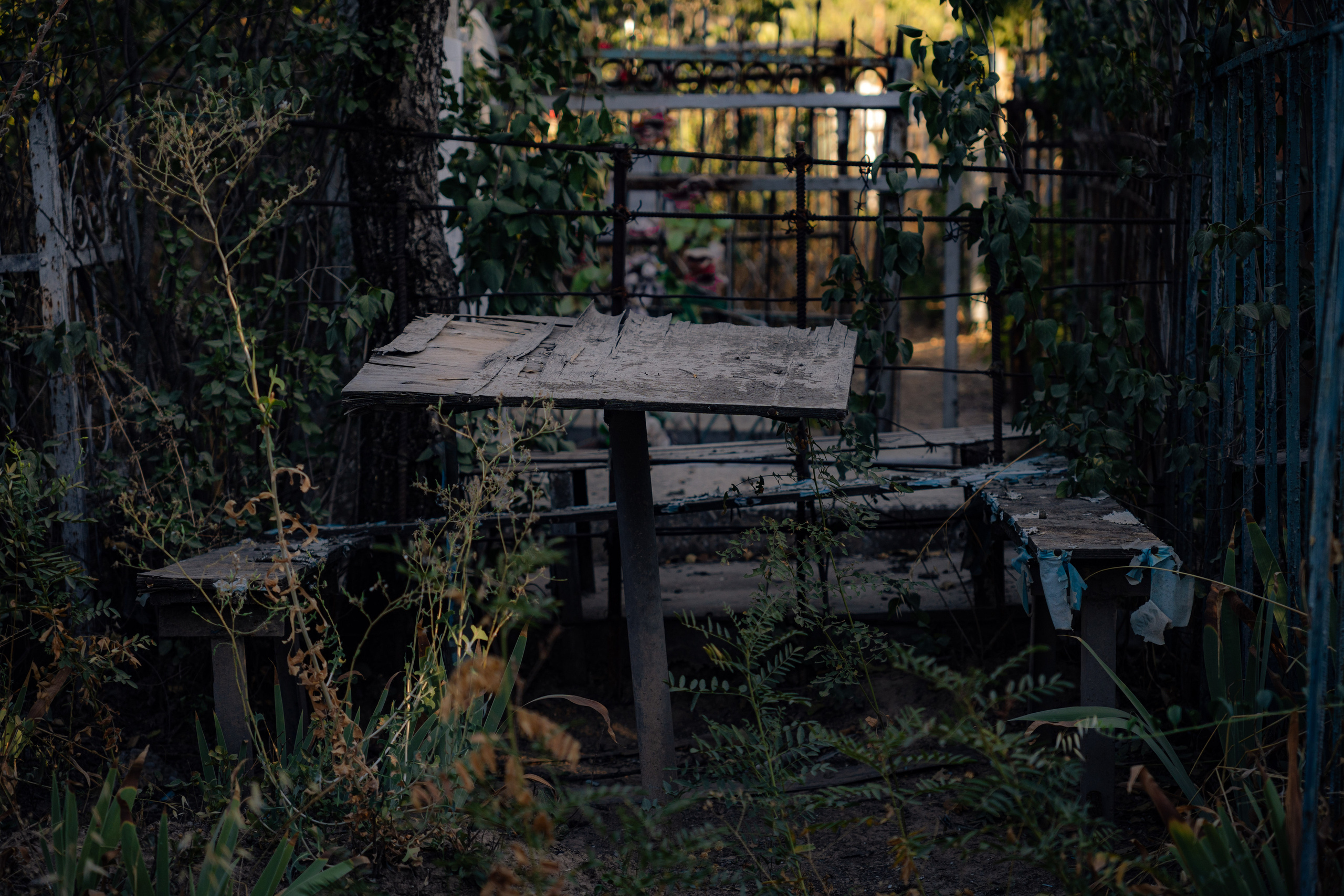 Клиент всегда мёртв: профессия — могильщик. Георгий Намазов | Фотограф в Ташкенте