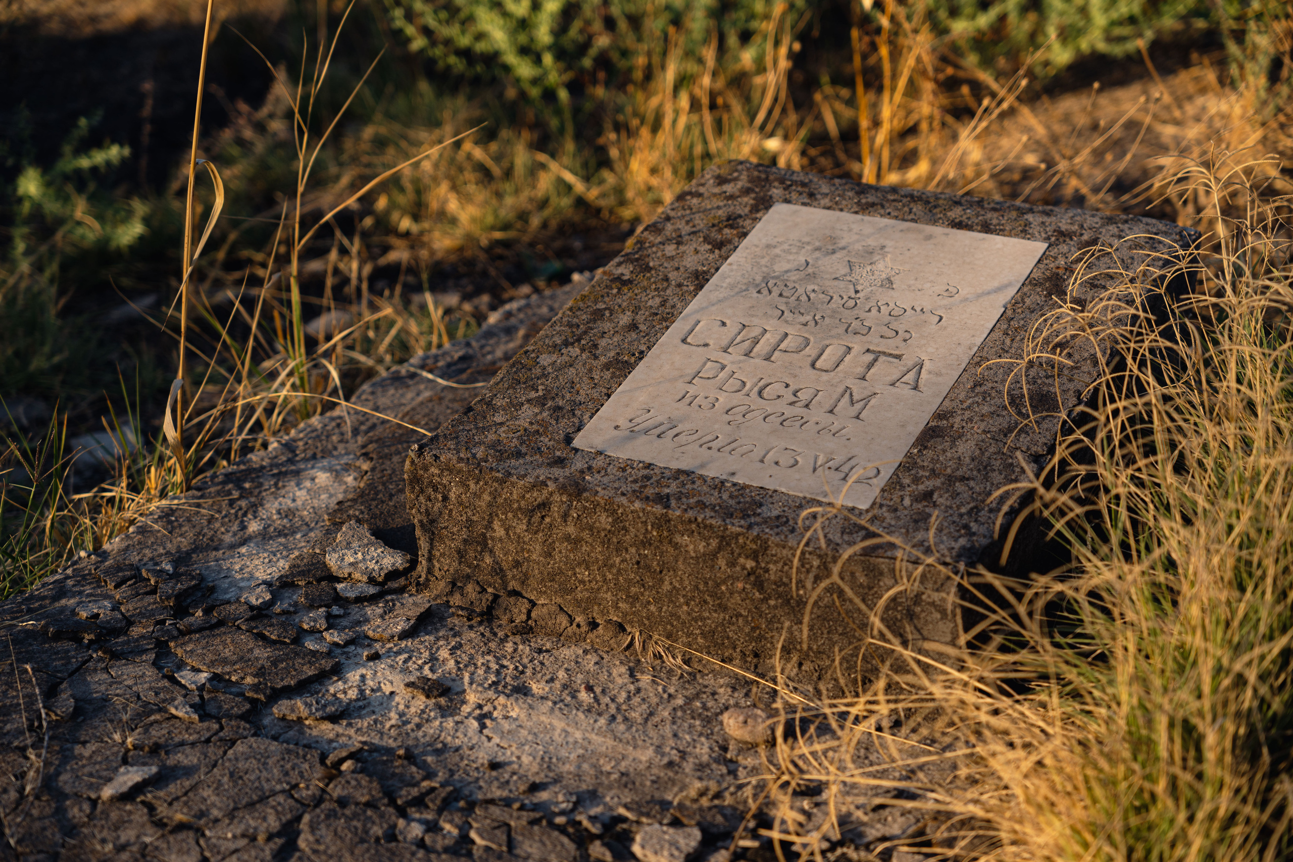 Клиент всегда мёртв: профессия — могильщик. Георгий Намазов | Фотограф в Ташкенте