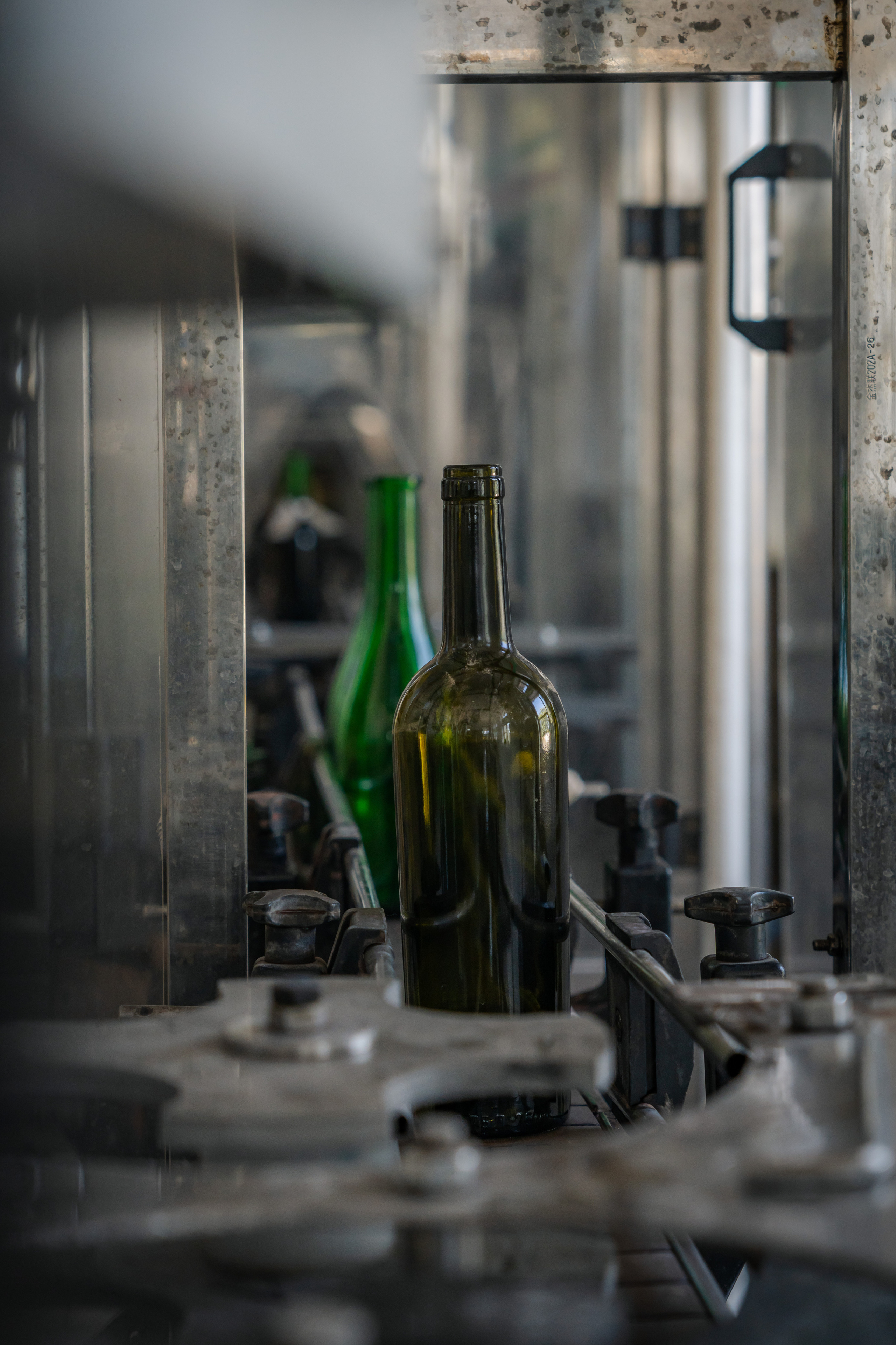 «Мне платят за то, что я выпиваю на работе» — история одной винодельни. Георгий Намазов | Фотограф в Ташкенте