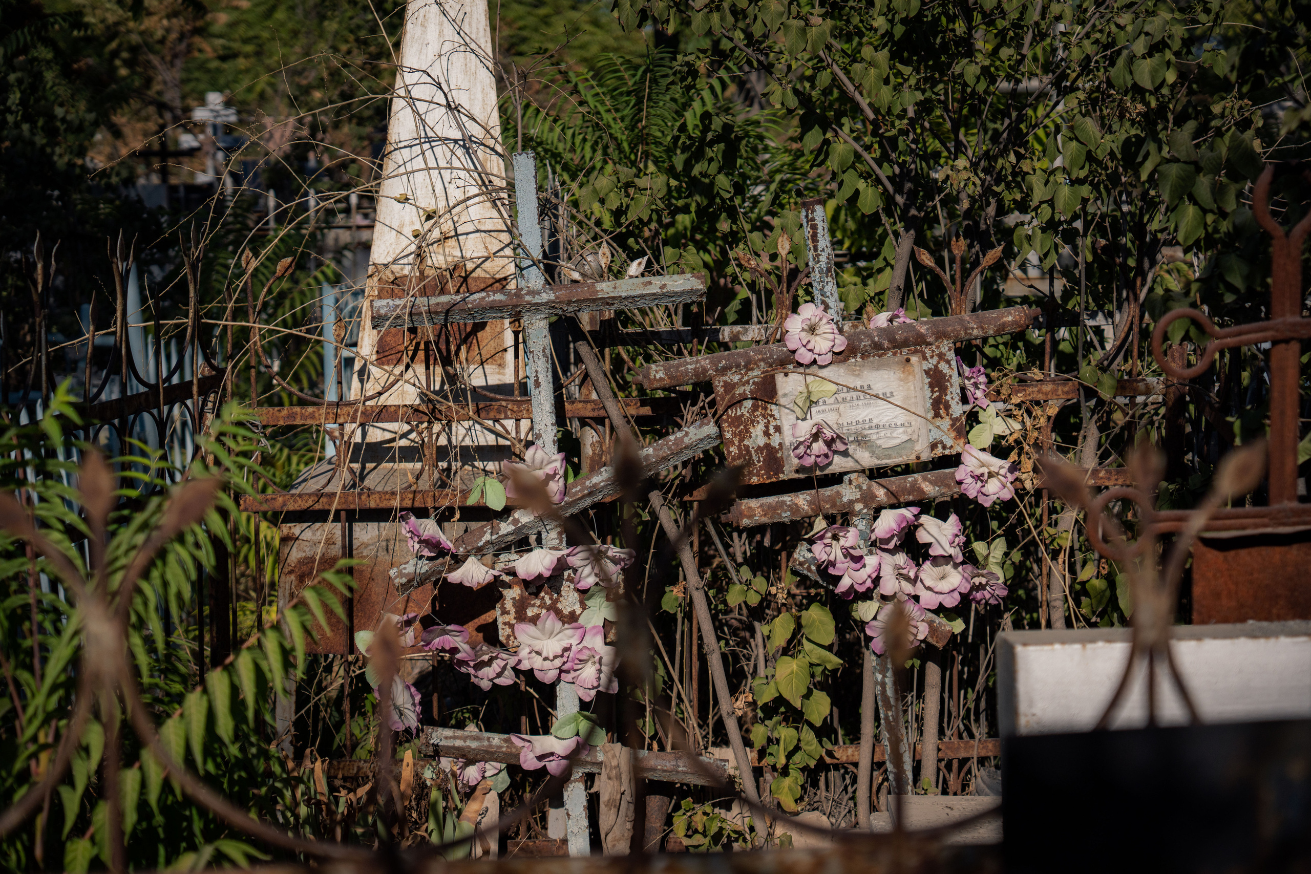 Клиент всегда мёртв: профессия — могильщик. Георгий Намазов | Фотограф в Ташкенте