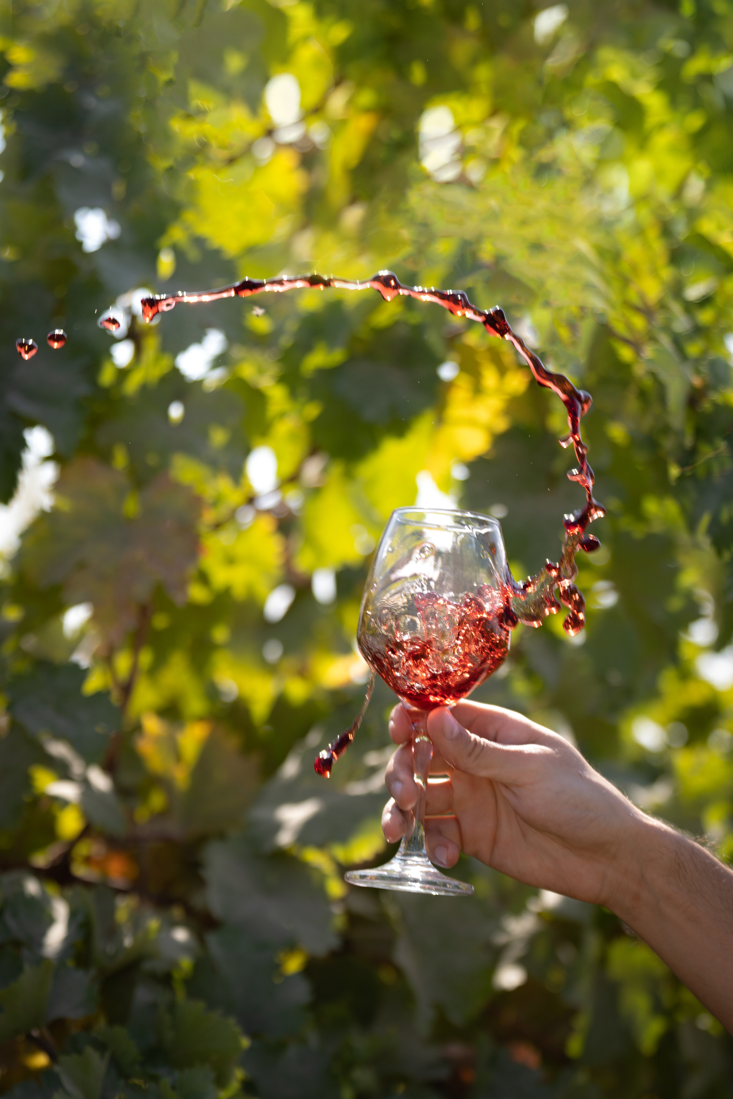 «Мне платят за то, что я выпиваю на работе» — история одной винодельни. Георгий Намазов | Фотограф в Ташкенте