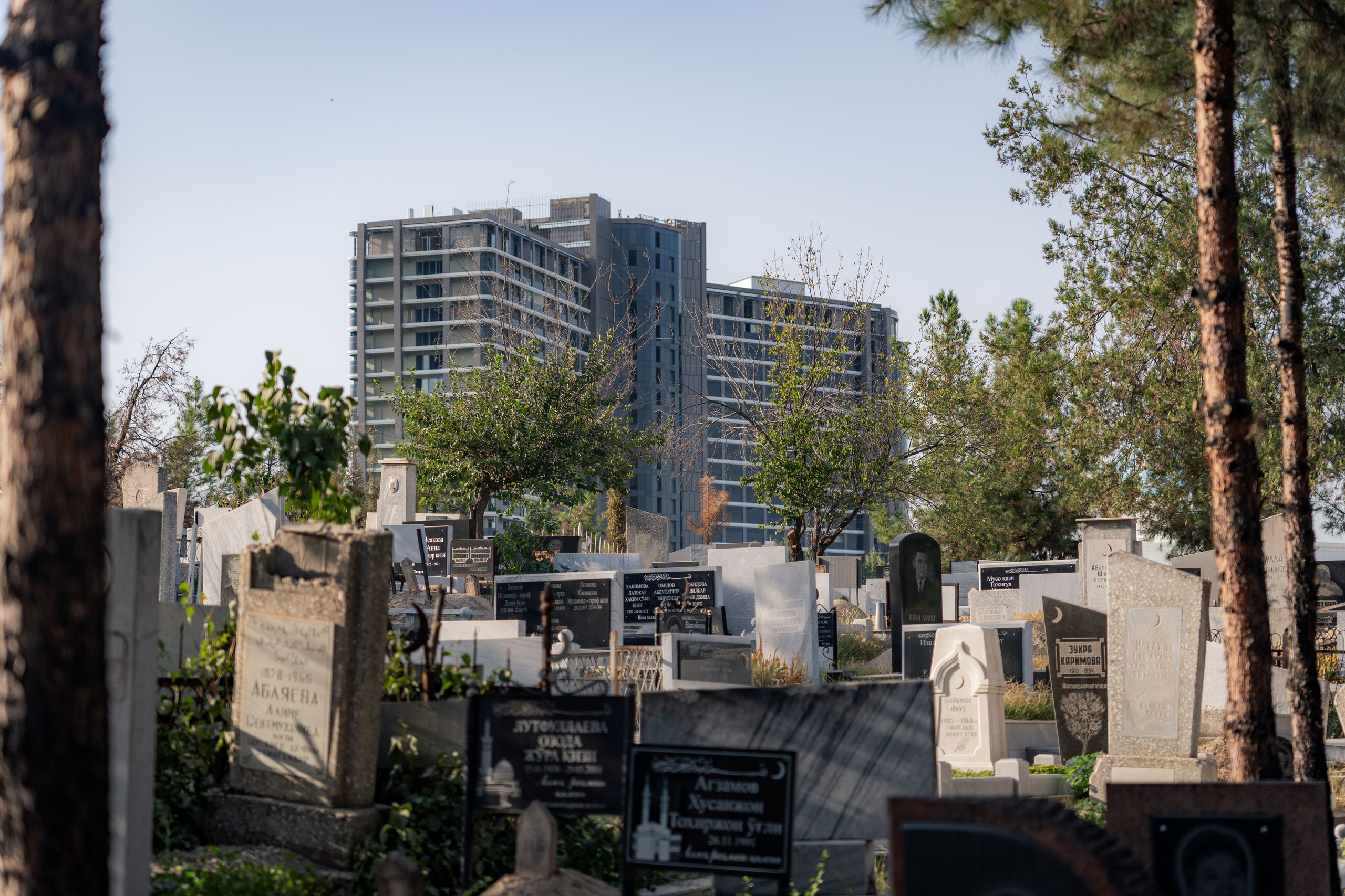 Клиент всегда мёртв: профессия — могильщик. Георгий Намазов | Фотограф в Ташкенте