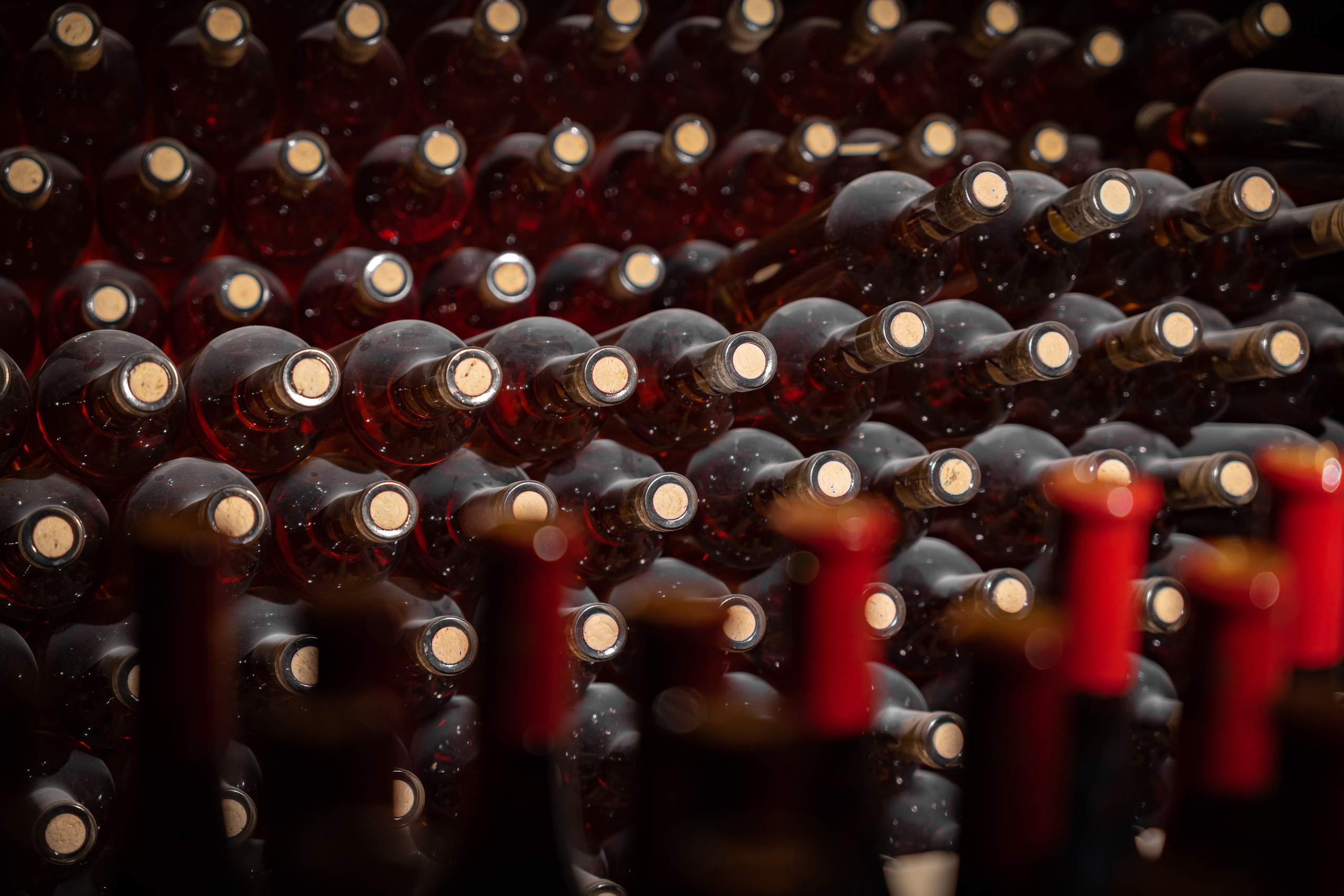 «Мне платят за то, что я выпиваю на работе» — история одной винодельни. Георгий Намазов | Фотограф в Ташкенте