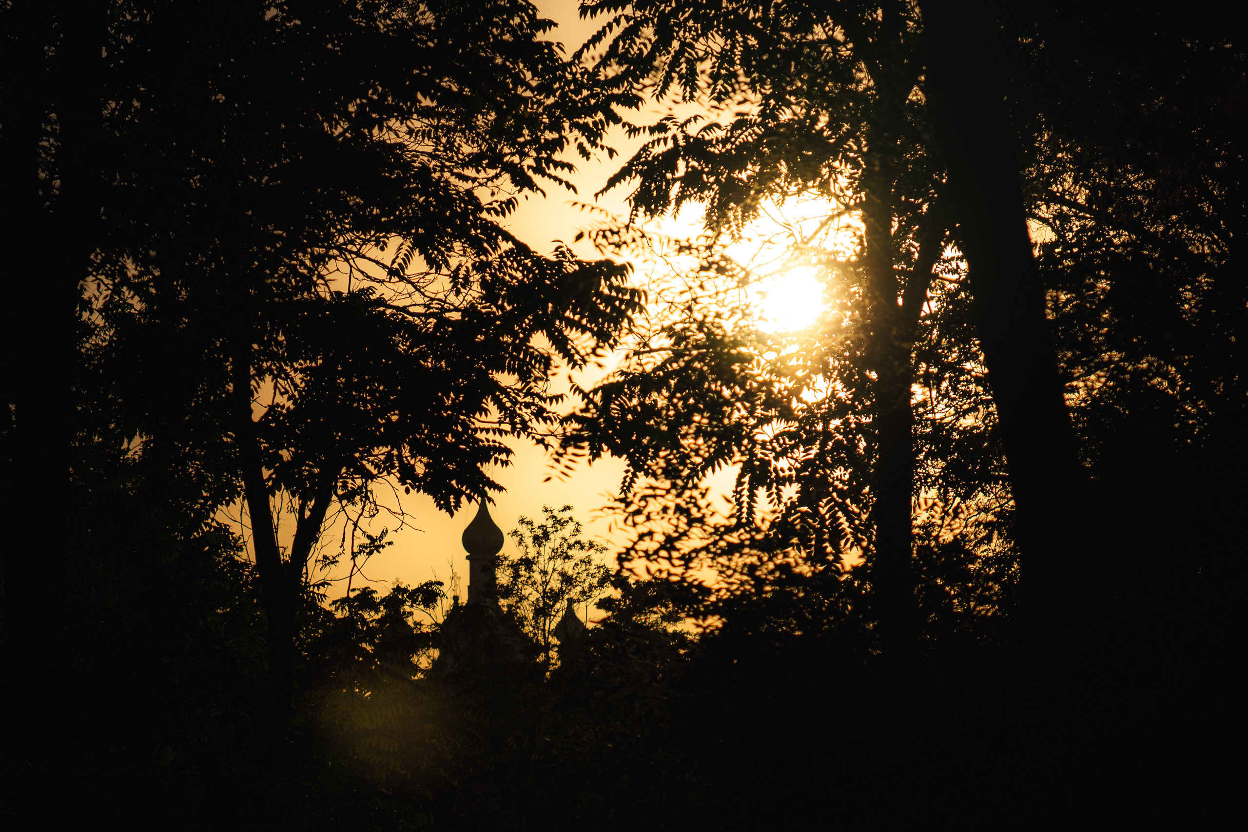 Клиент всегда мёртв: профессия — могильщик. Георгий Намазов | Фотограф в Ташкенте