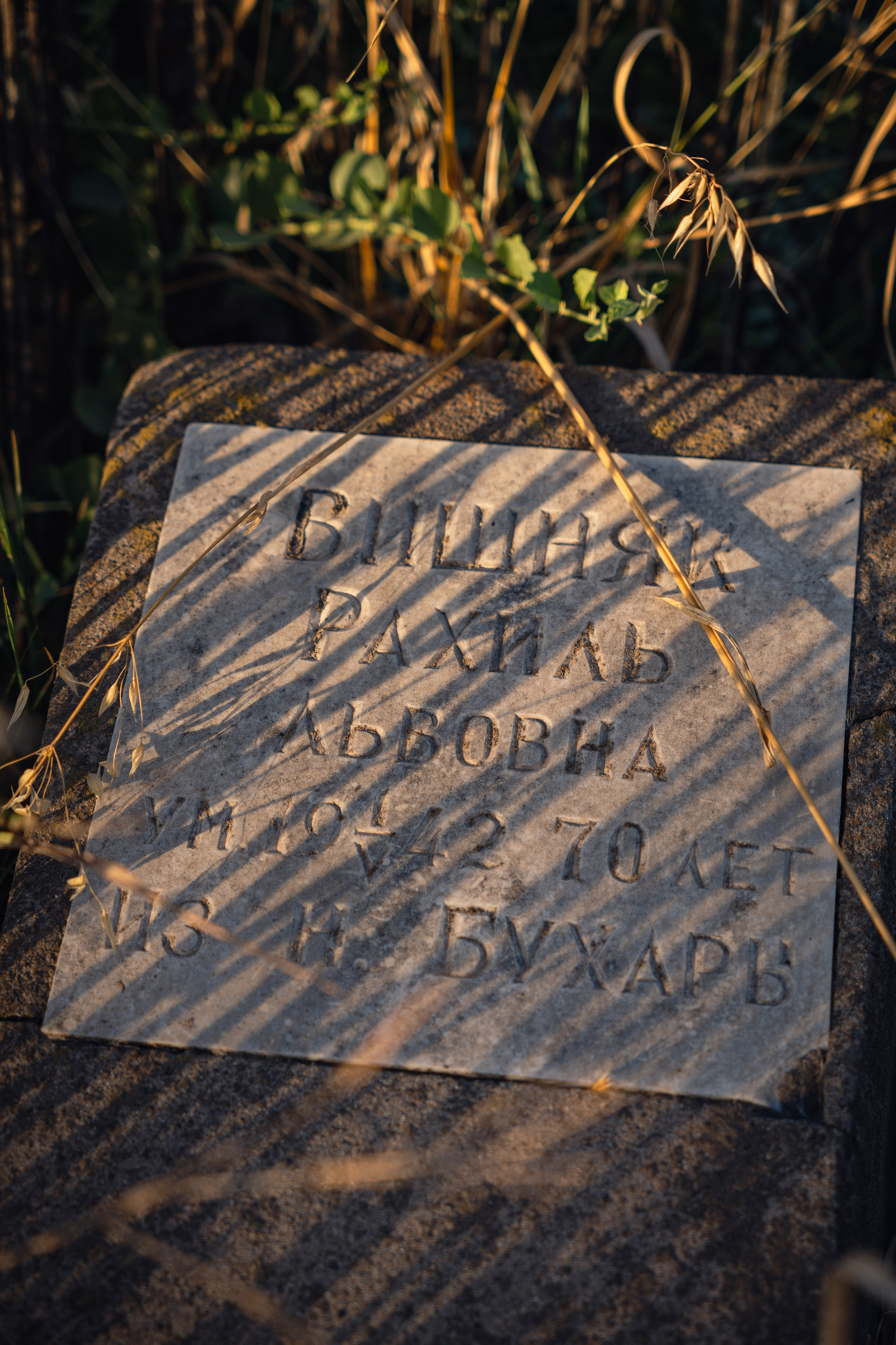 Клиент всегда мёртв: профессия — могильщик. Георгий Намазов | Фотограф в Ташкенте