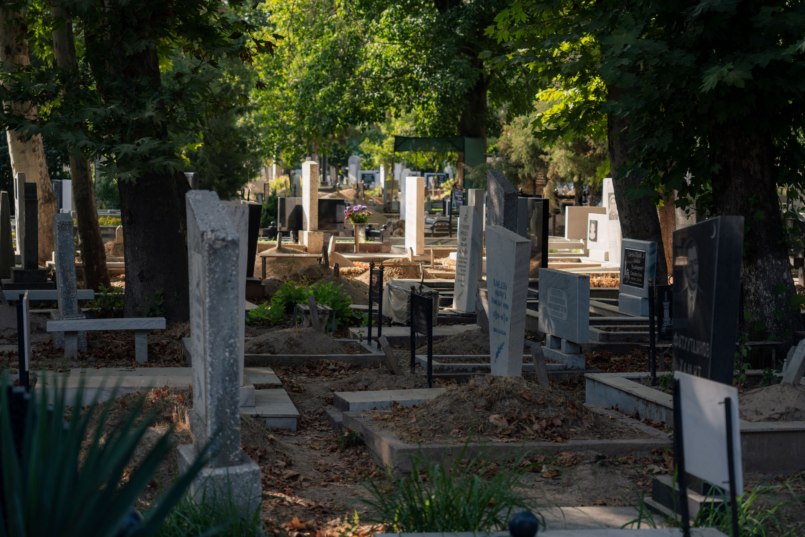 Клиент всегда мёртв: профессия — могильщик. Георгий Намазов | Фотограф в Ташкенте