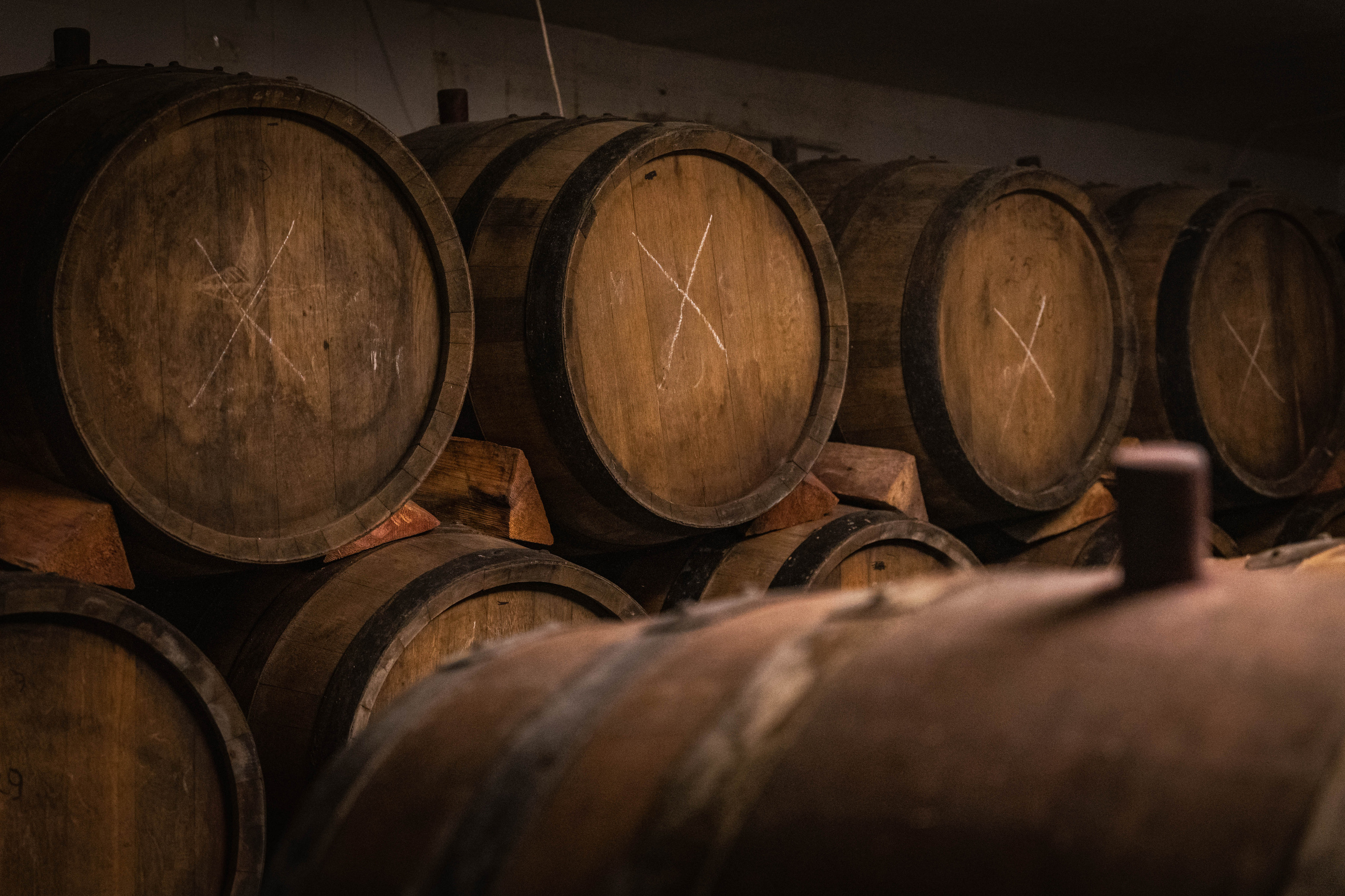 «Мне платят за то, что я выпиваю на работе» — история одной винодельни. Георгий Намазов | Фотограф в Ташкенте