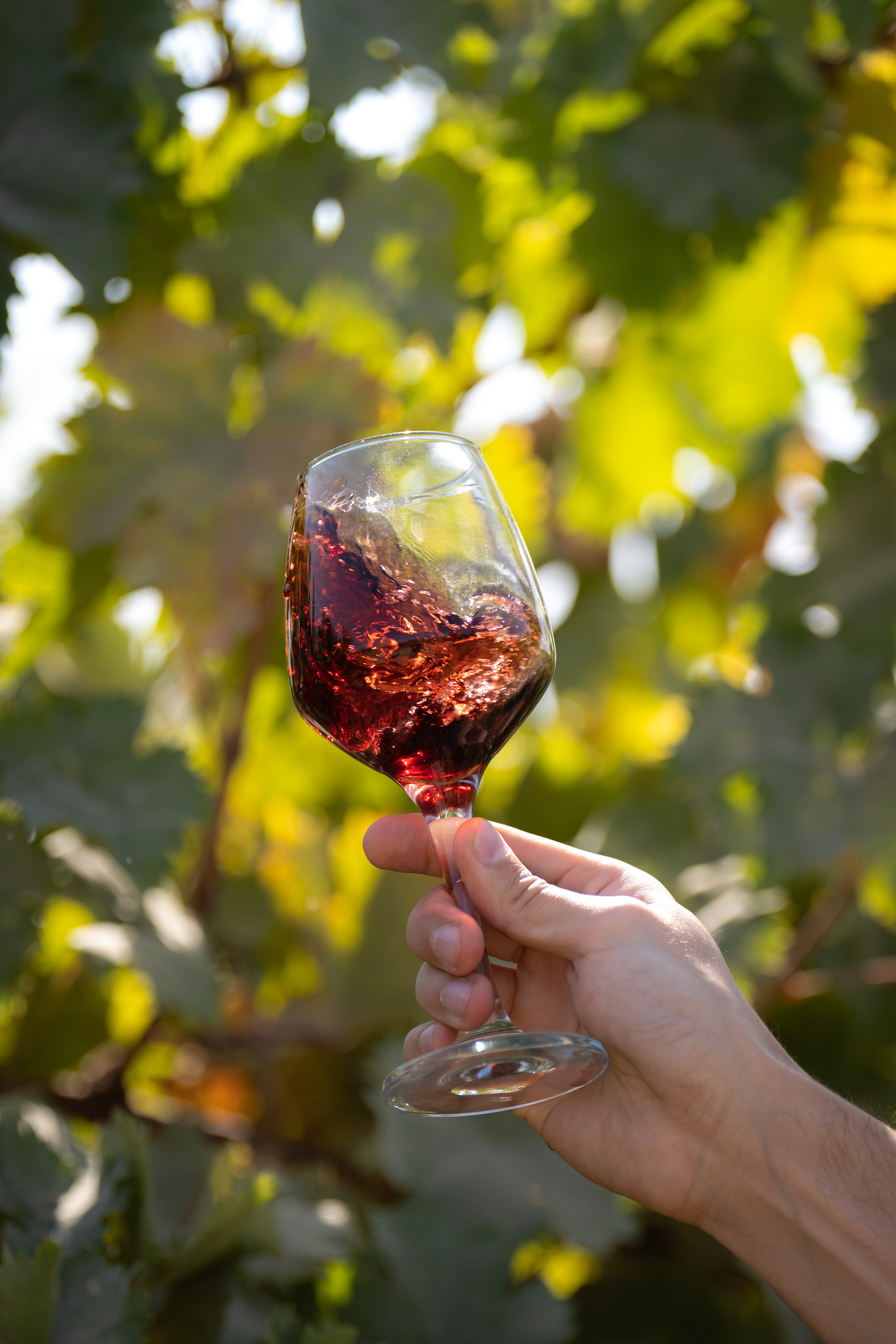 «Мне платят за то, что я выпиваю на работе» — история одной винодельни. Георгий Намазов | Фотограф в Ташкенте