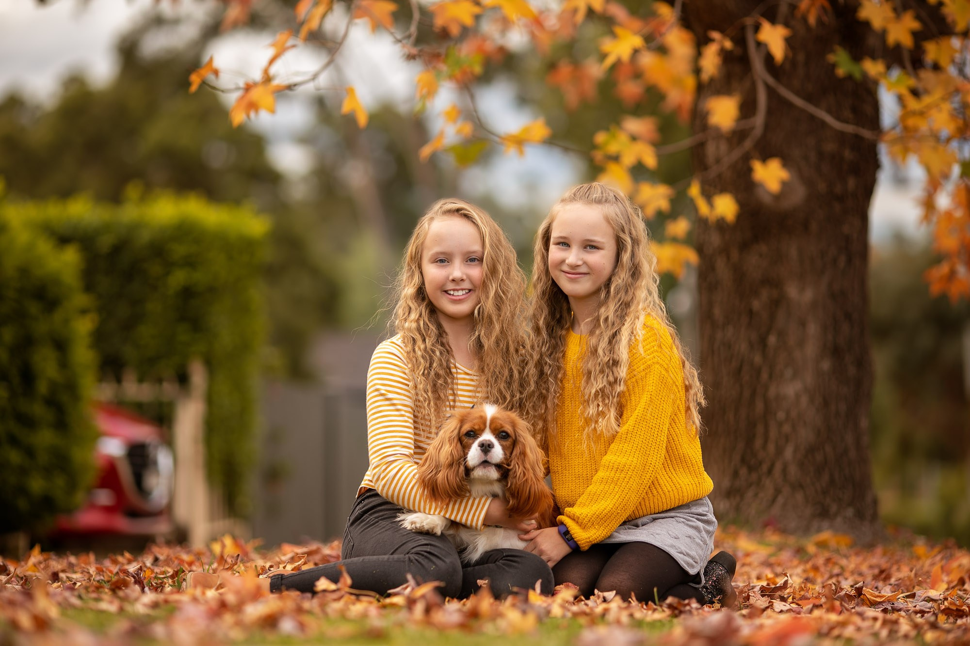 Autumn Family Photography in Sydney. Family and Maternity Photography in Sydney, Hills District
