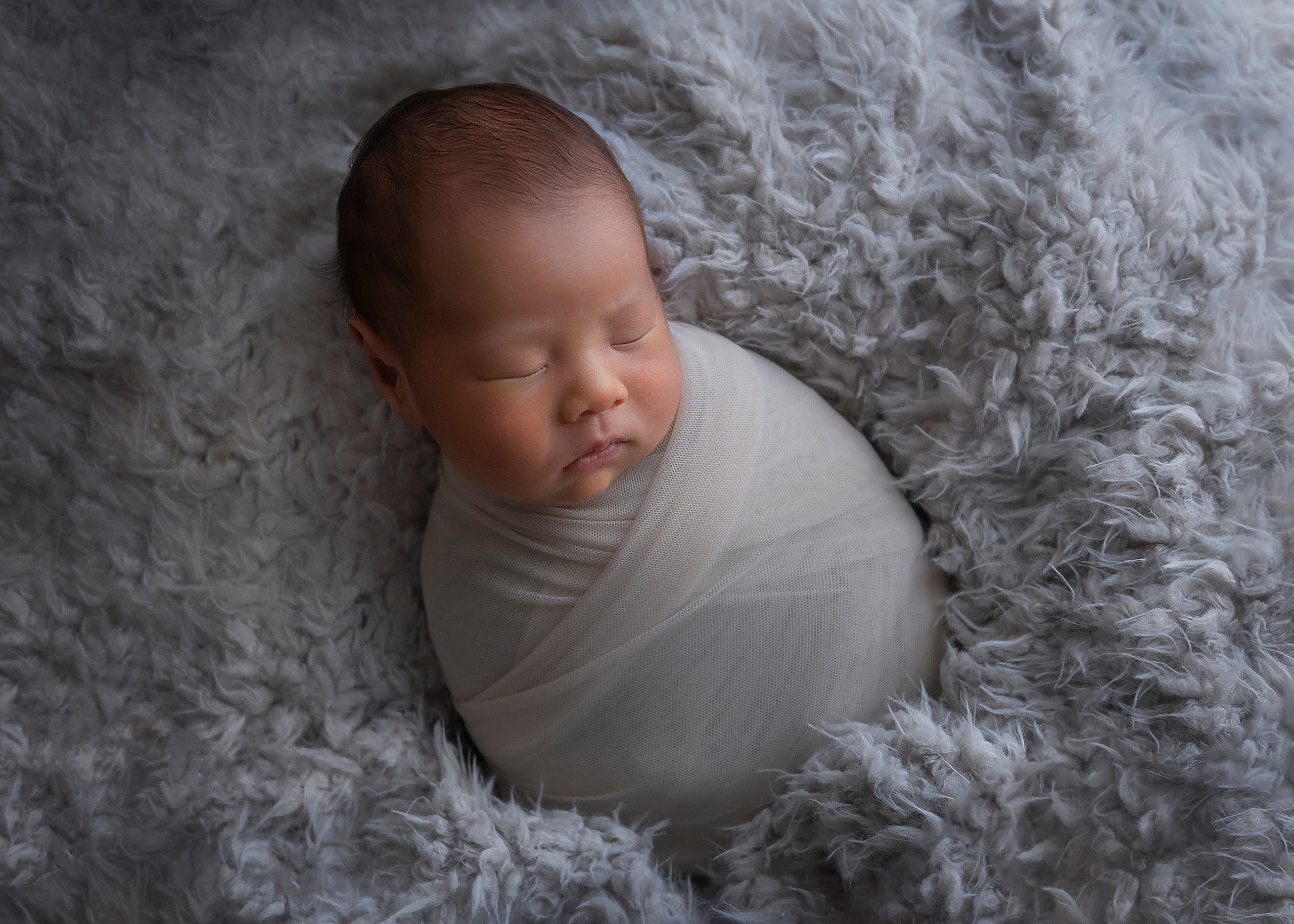 ギャラリー. 出張撮影　新生児ファインアート写真