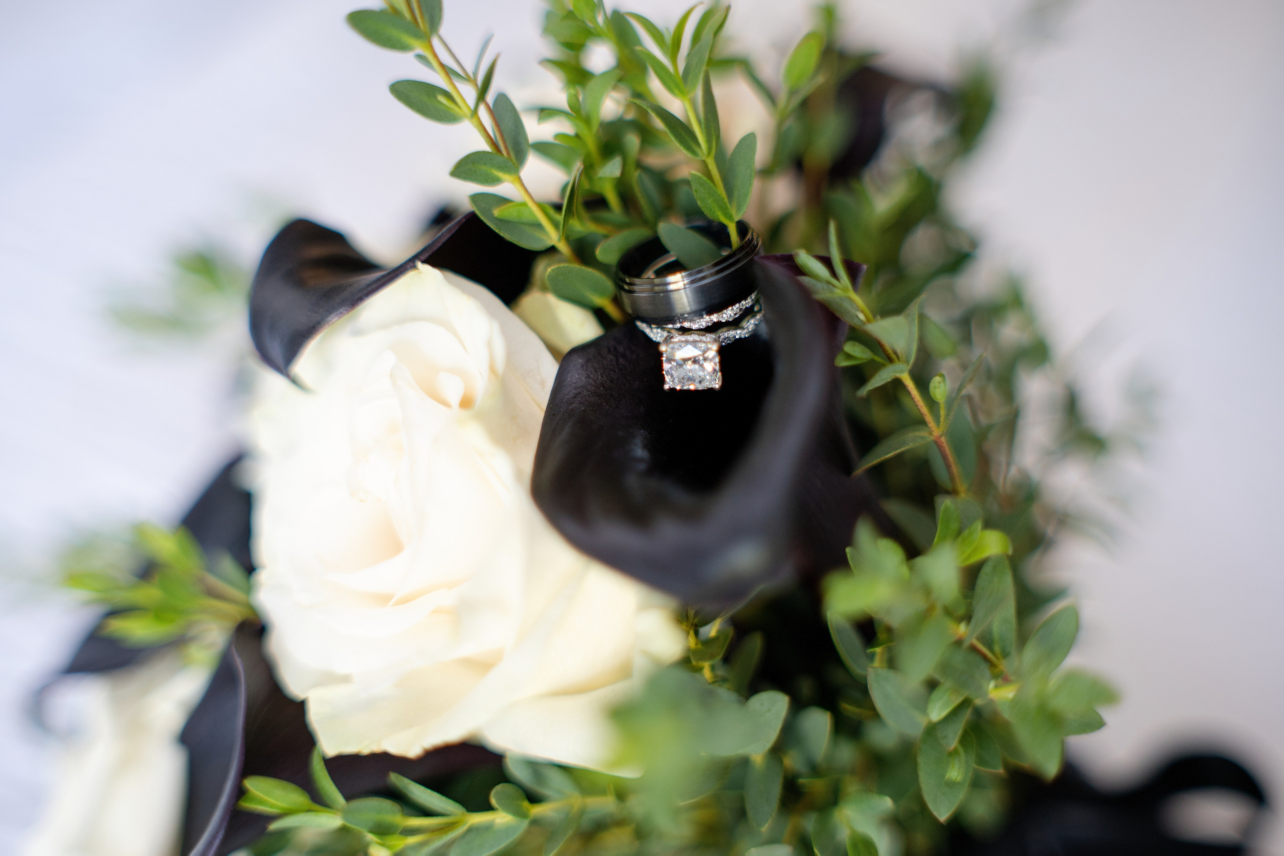 Mini Wedding Photography in Roseville & Surrounding Areas. Family photographer in Roseville, Rocklin, Folsom, Sacramento