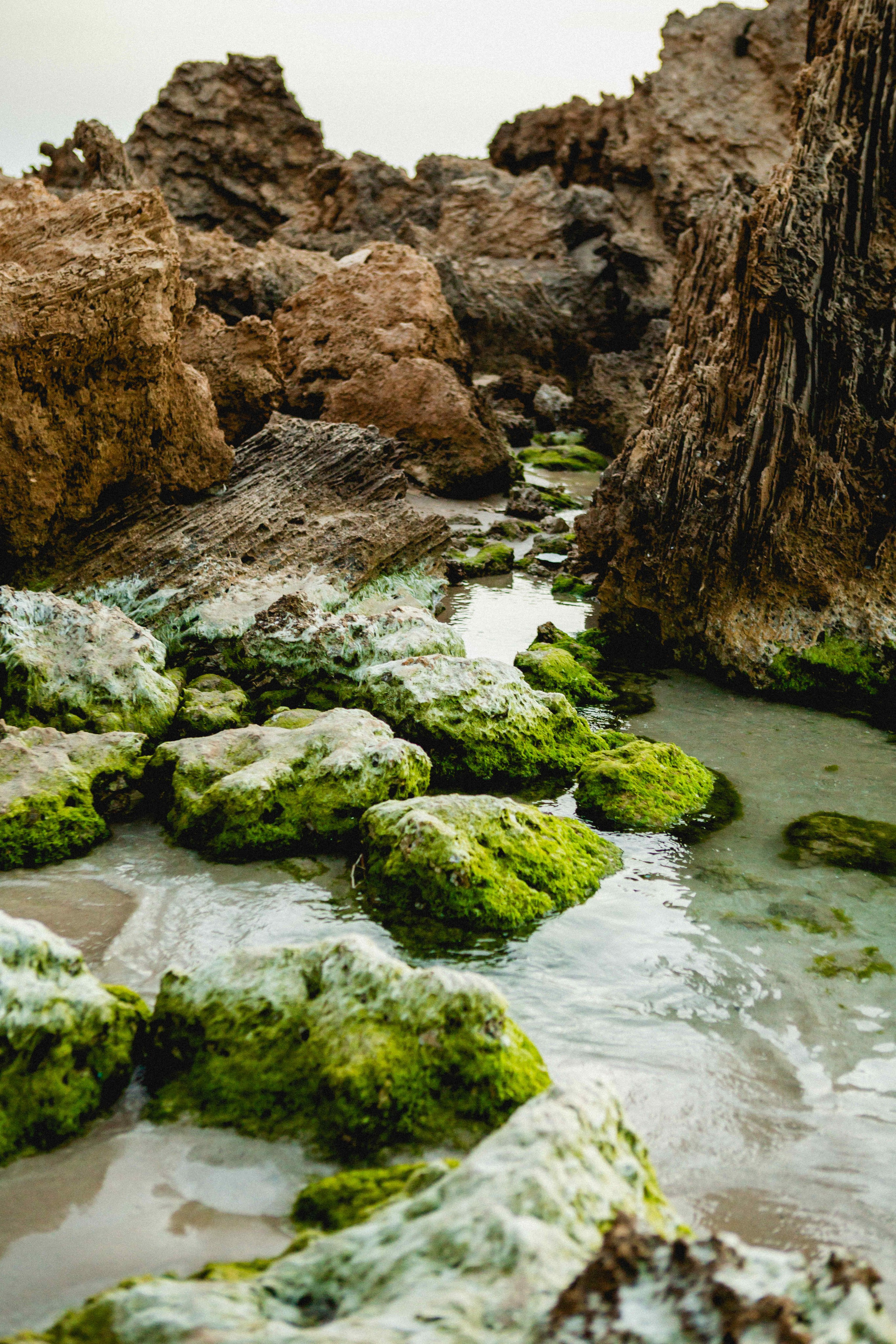 GIVAT OLGA. Https://shi-photo.com/