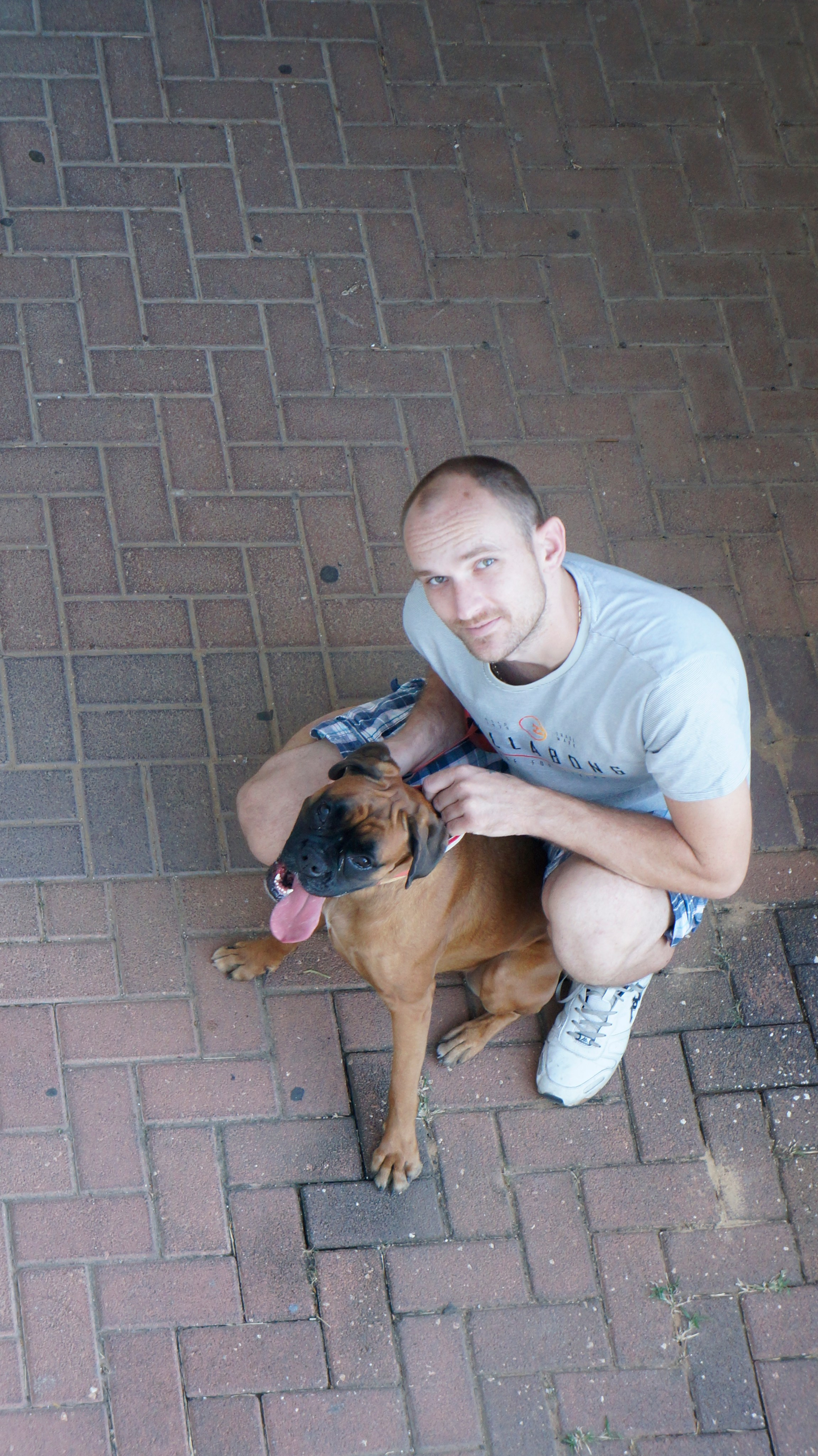 My ״Star״ Boxer Dog