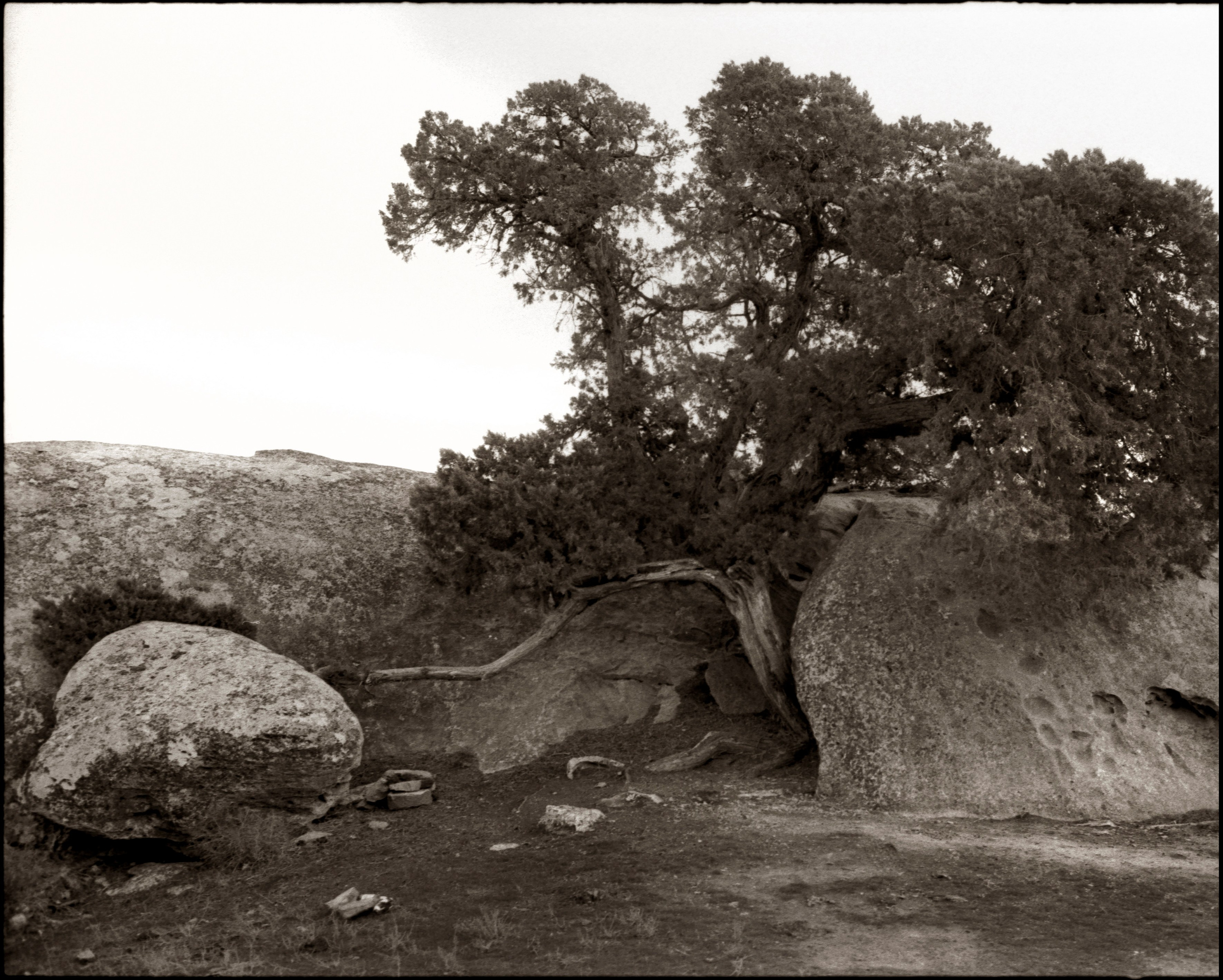 NATURE. Www.sananaleskerov.com