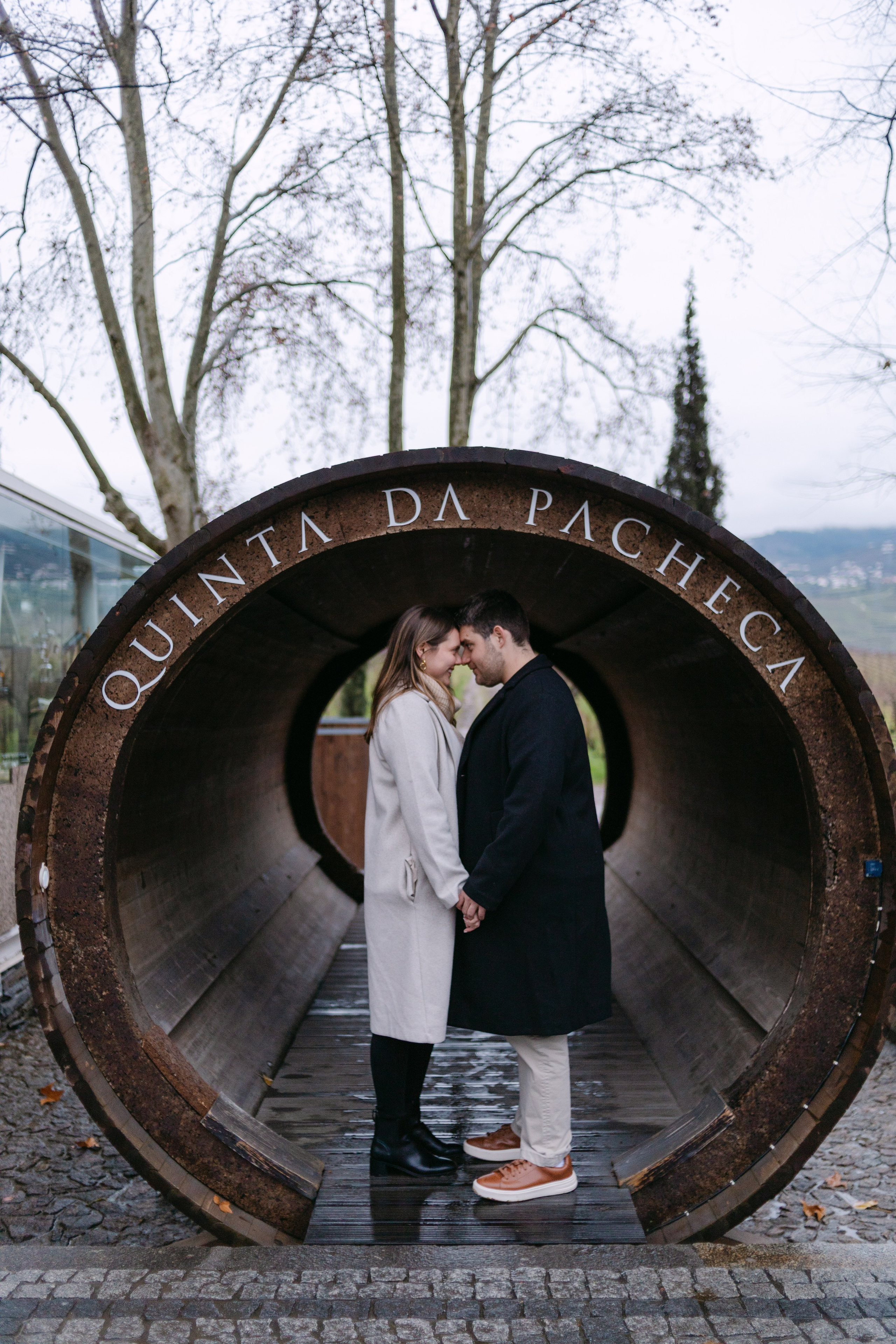 Proposal Sandro — Quinta Pacheca. Wedding and couple photographer in Porto