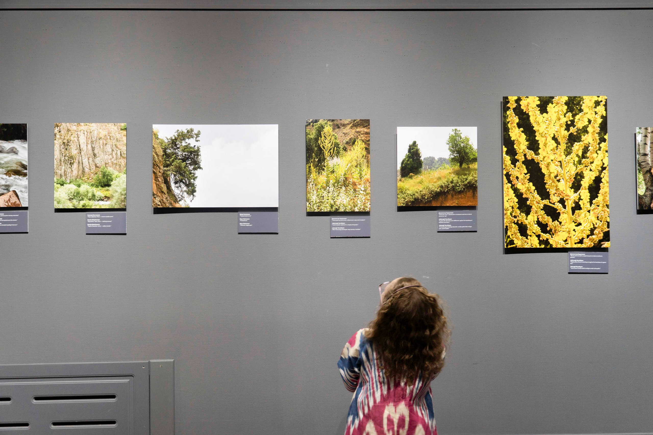 Wildlife Photography Programme (British Council x MOC). Melikov Amir, Uzbekistan based photographer