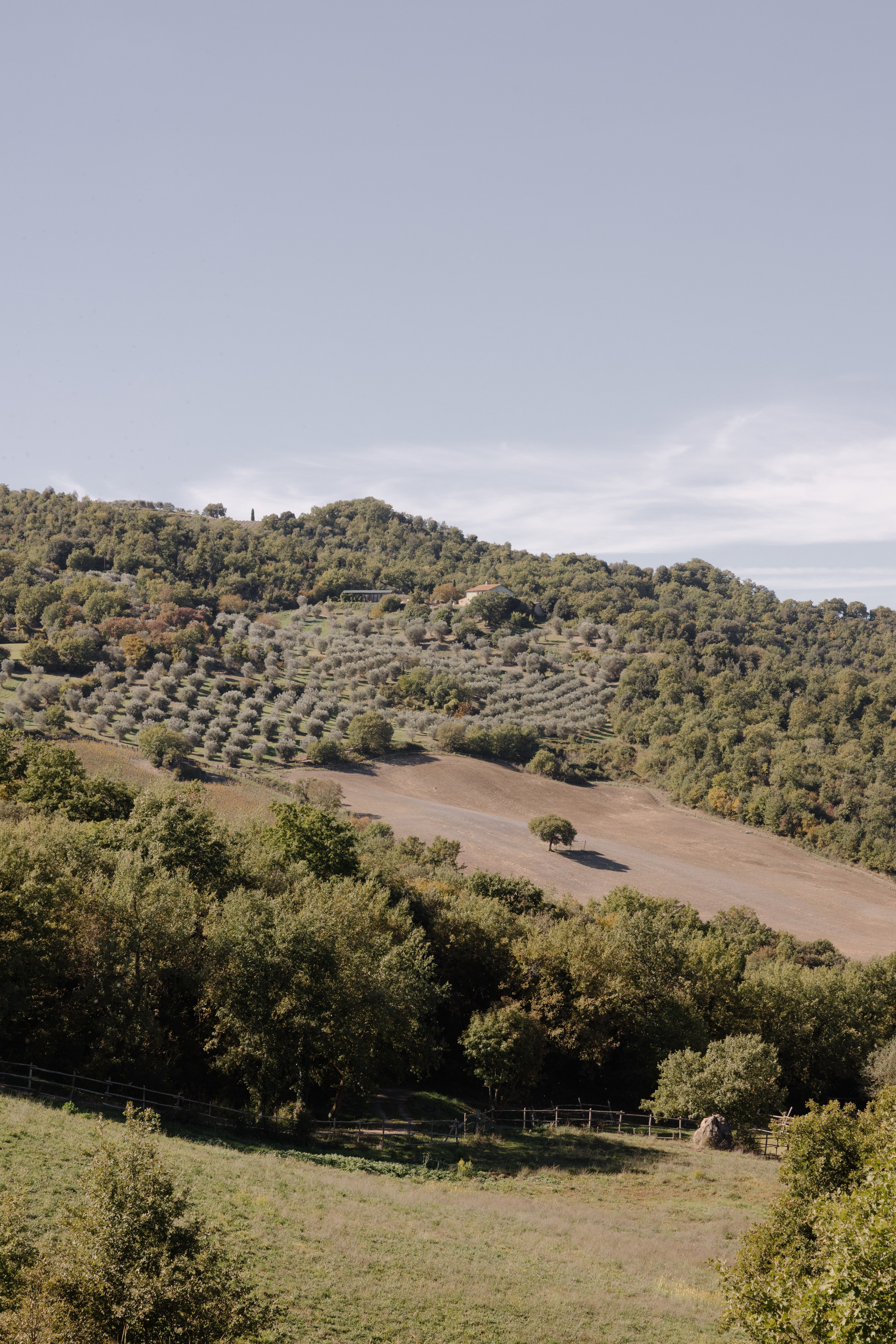 Mitcell&Melanie digital. Wedding photographer Italy