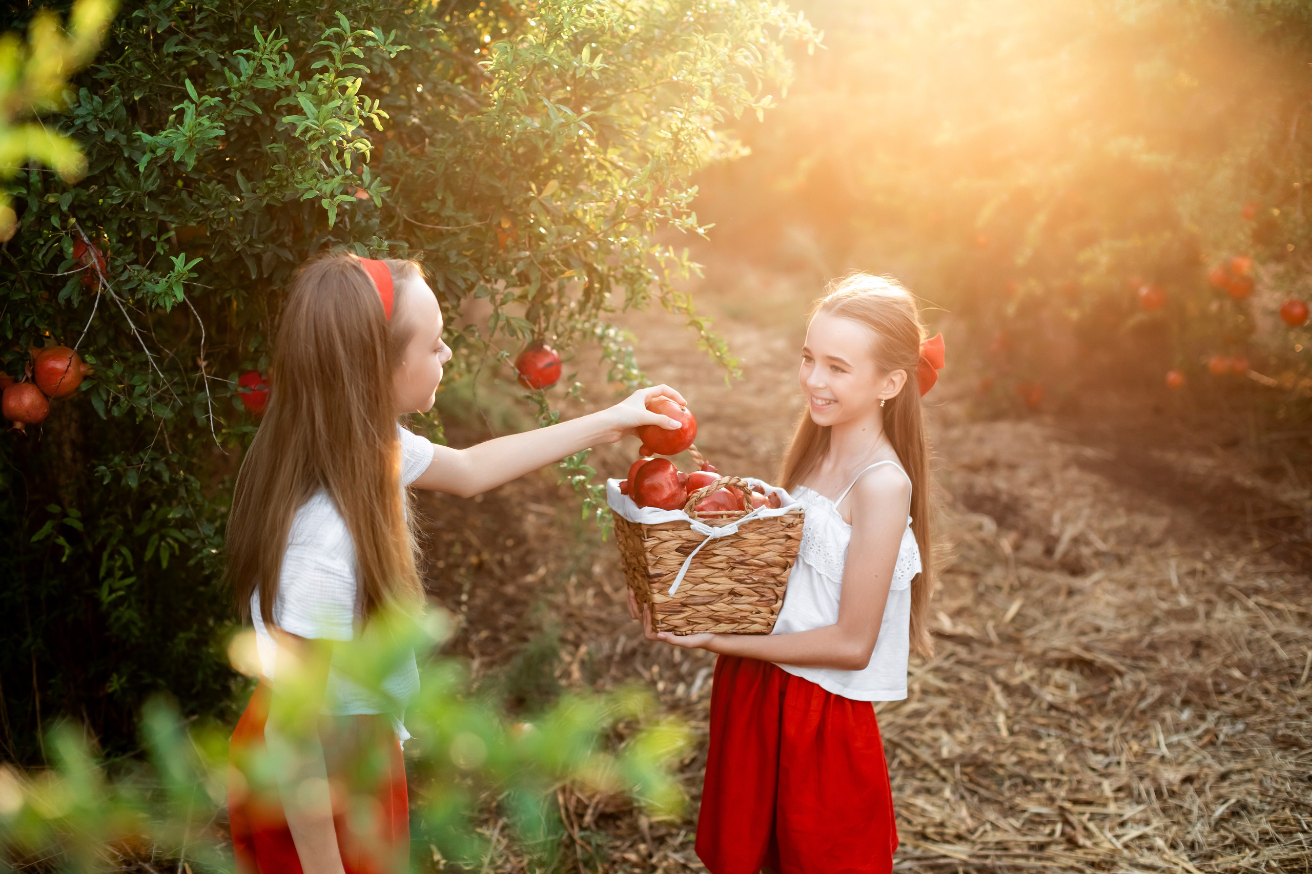 Children’s photoshoot in a pomegranate orchard — photographer Olga Kulik’s blog