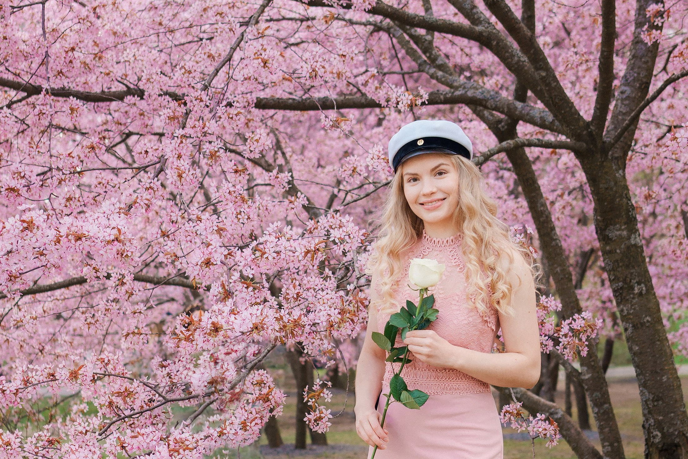 Rippi- ja ylioppilaskuvaus