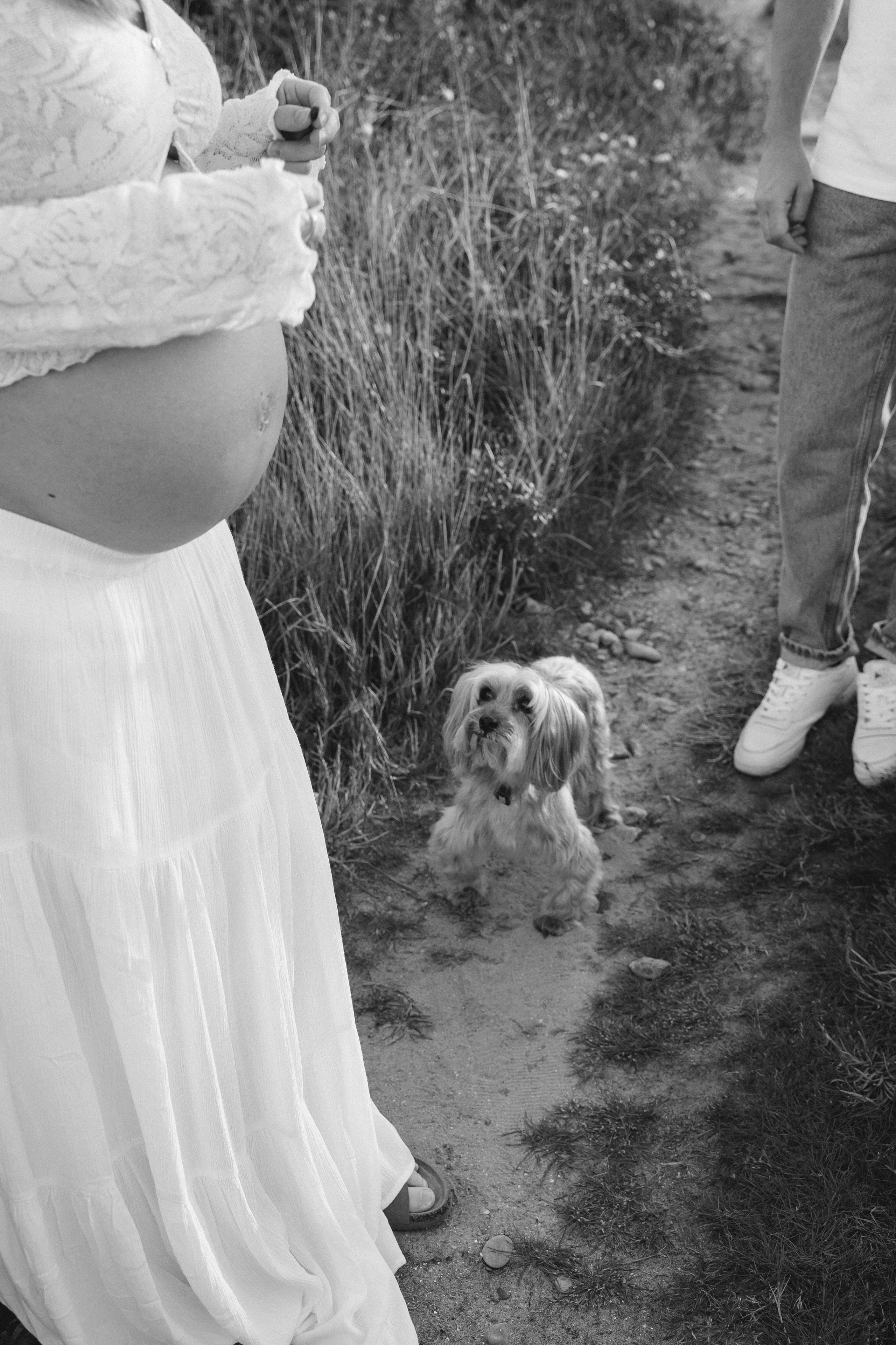 Pilar, Javi y perro Tonet. Фотограф в Валенсии, Испания Надежда Балаховская