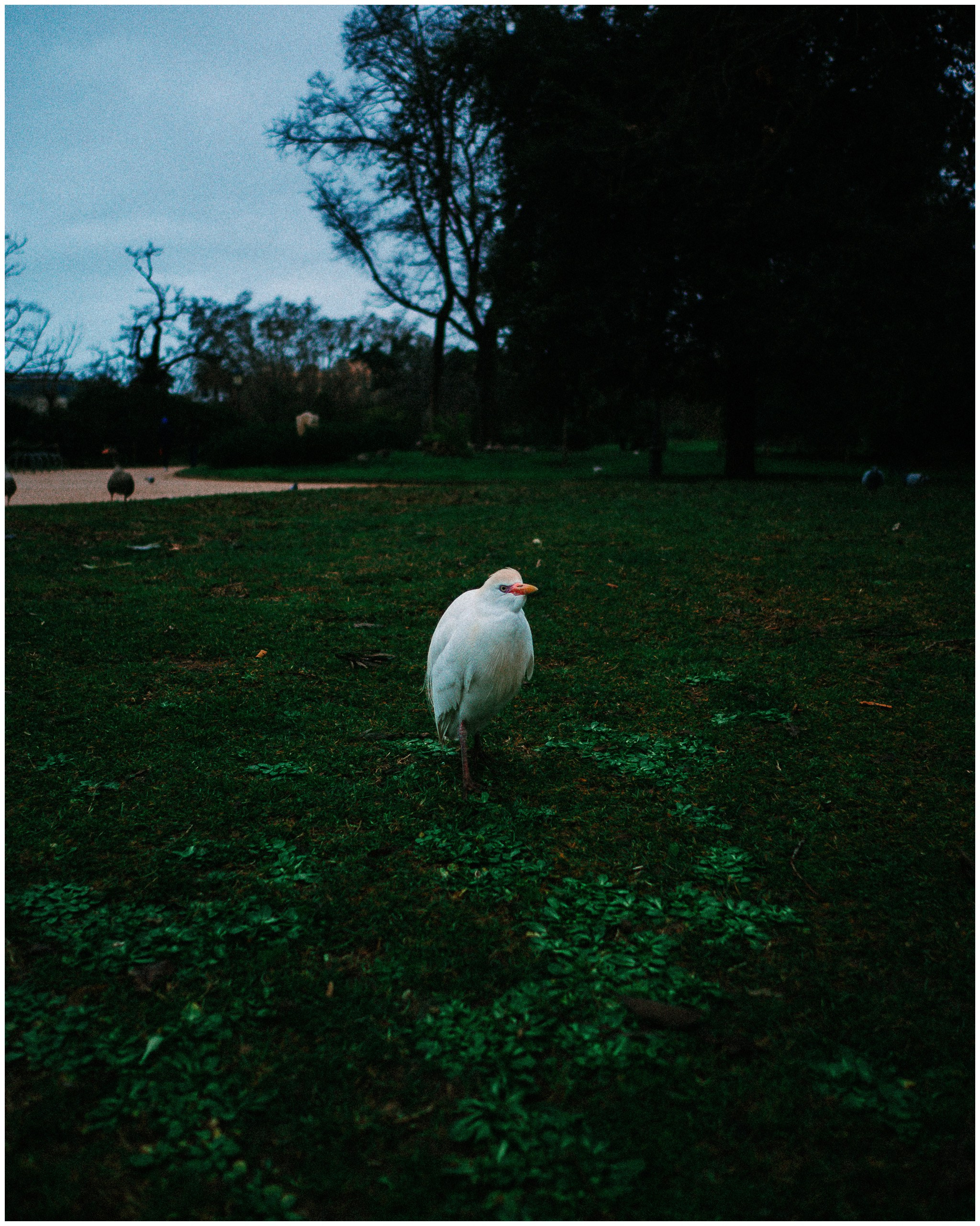 BARCELONA. Inna Mendelson — Photographer